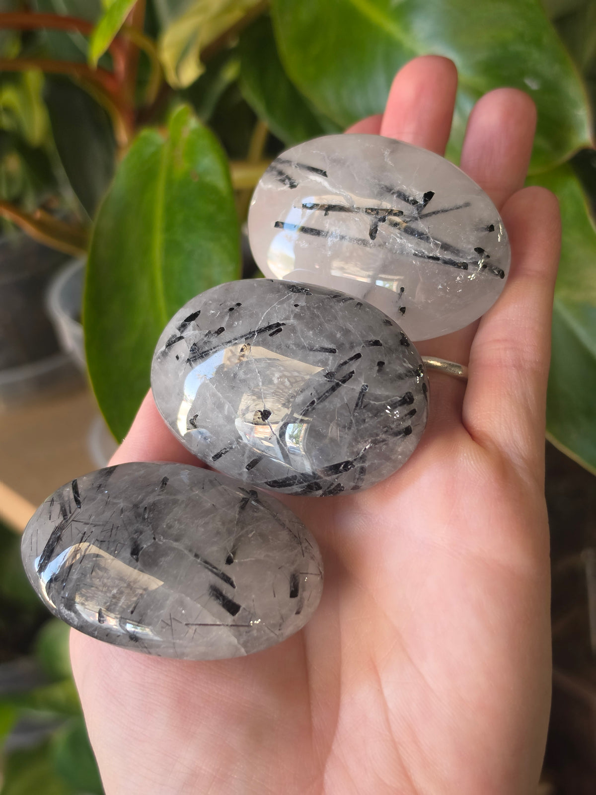 Black Tourmaline in Quartz Palmstone