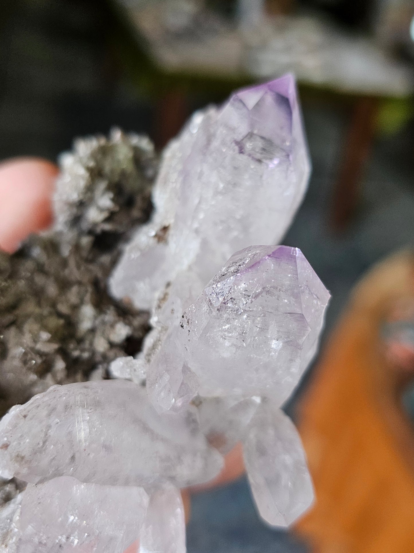 Vera Cruz Amethyst