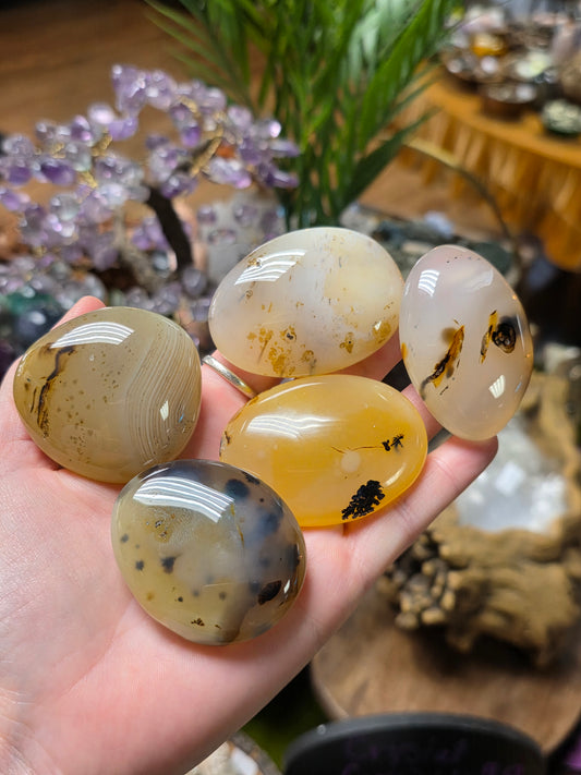 Dendritic Agate Palmstone