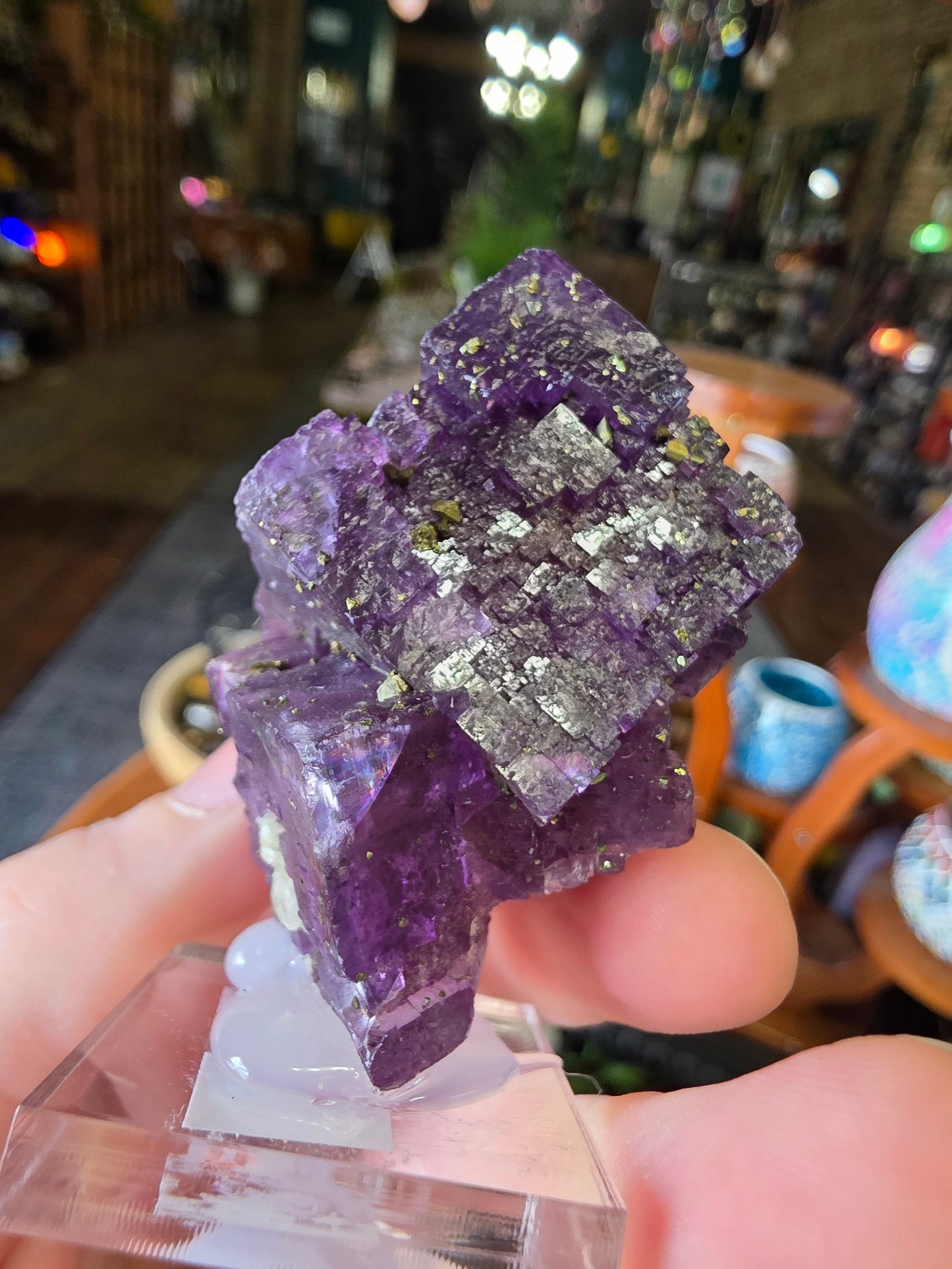 Pyrite on Fluorite