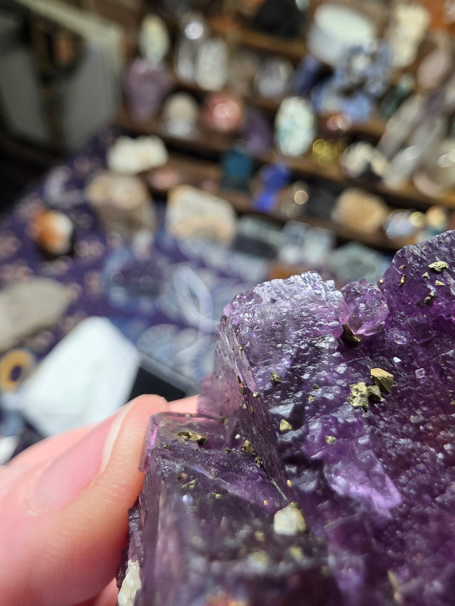 Pyrite on Fluorite