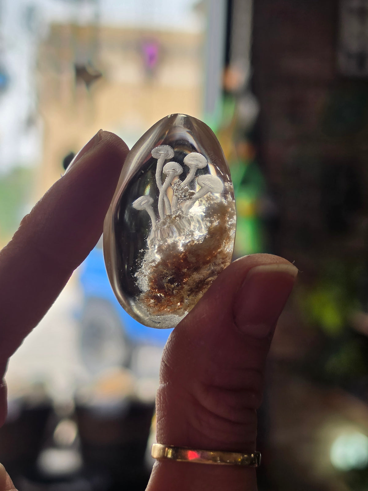 Mushroom Lazer Engraved Garden Quartz