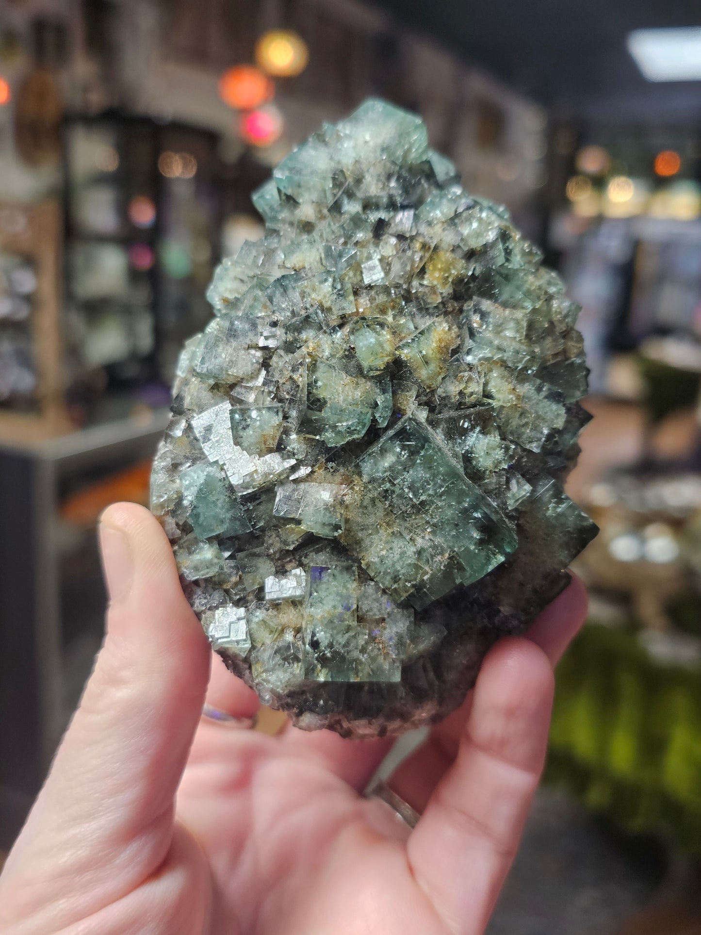 Diana Maria Fluorite ( Hidden Forest Pocket)