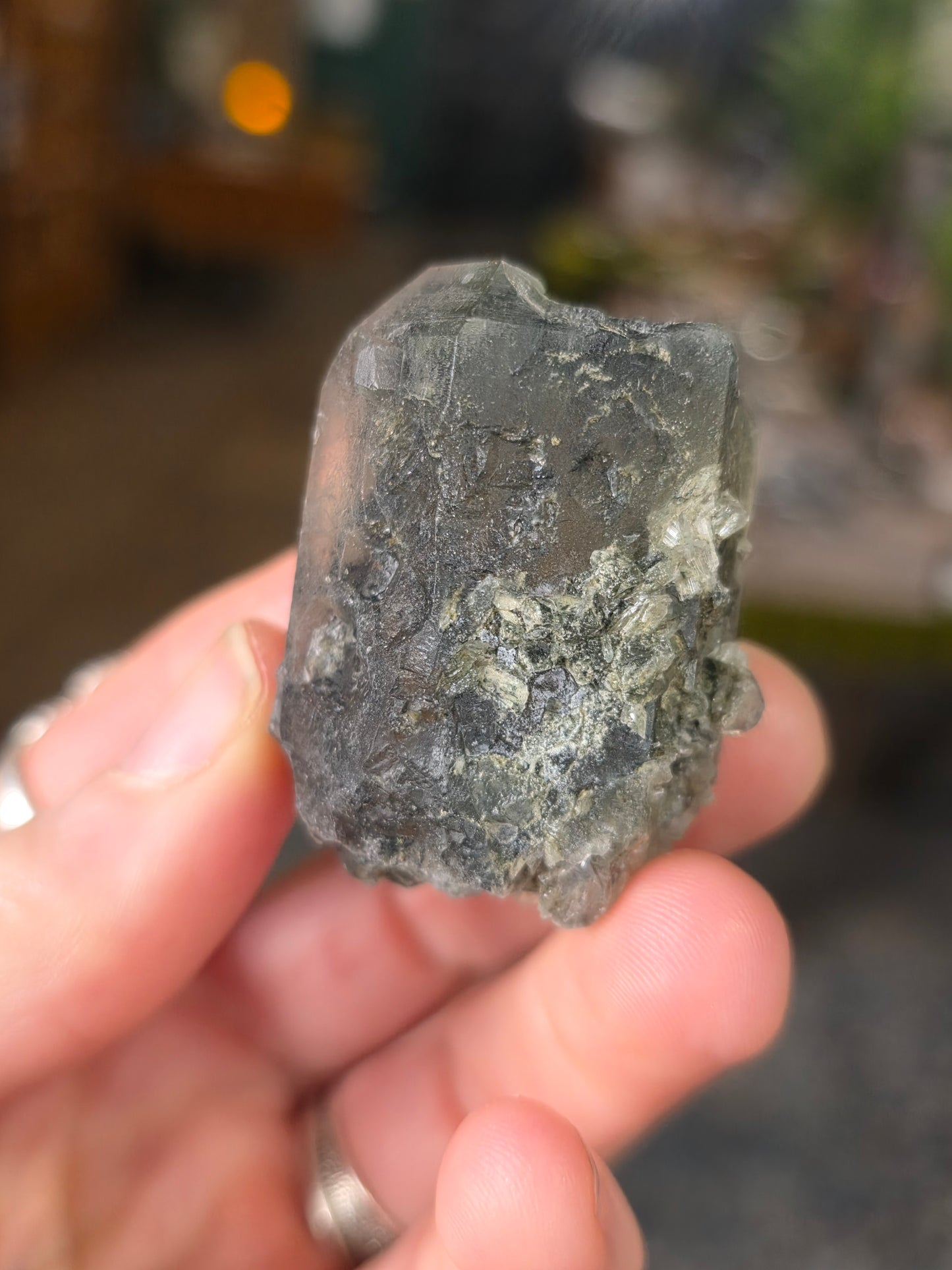 Hanksite