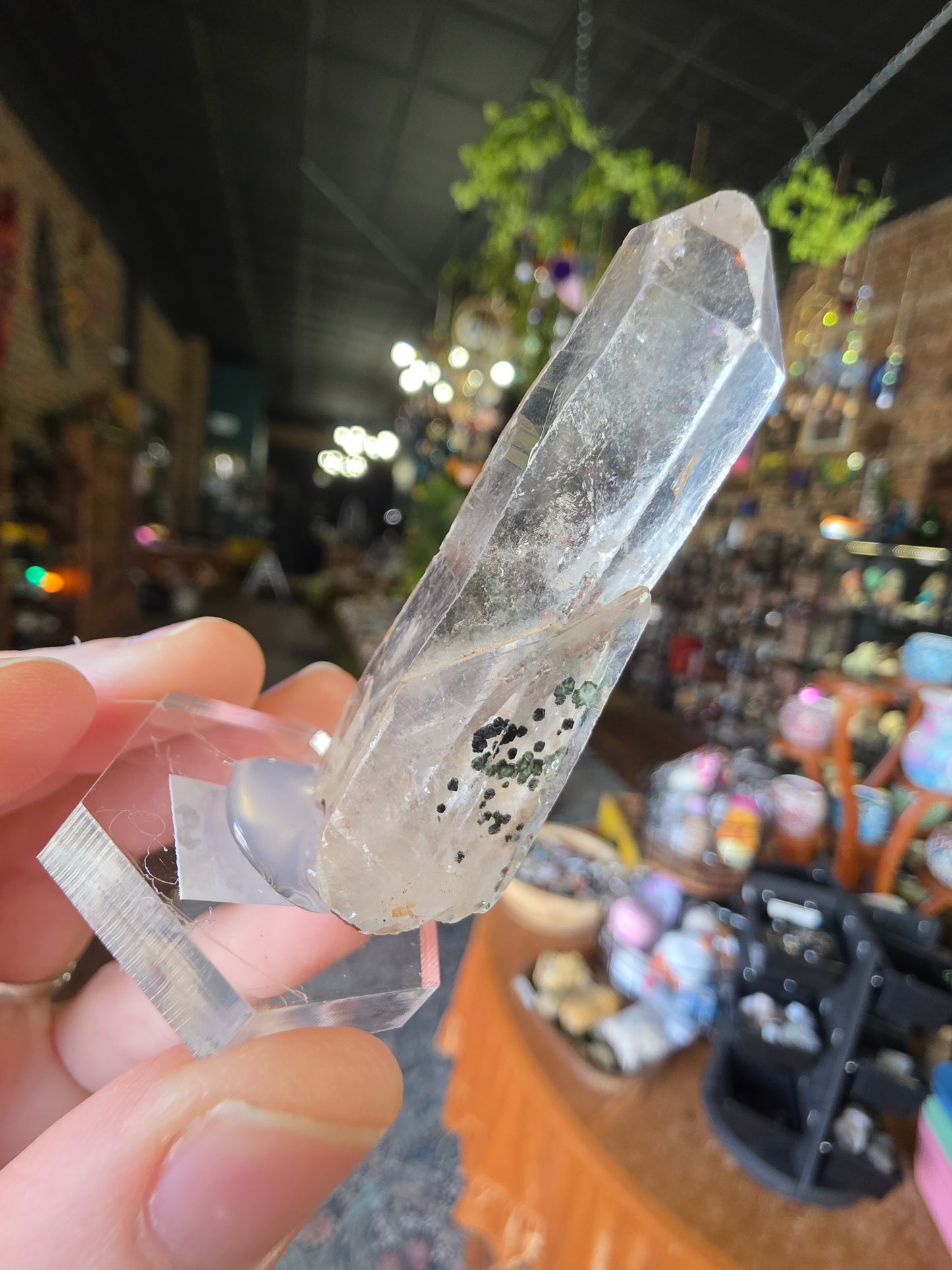Uncommon Clinochlorite Trapiche Inclusions in Quartz