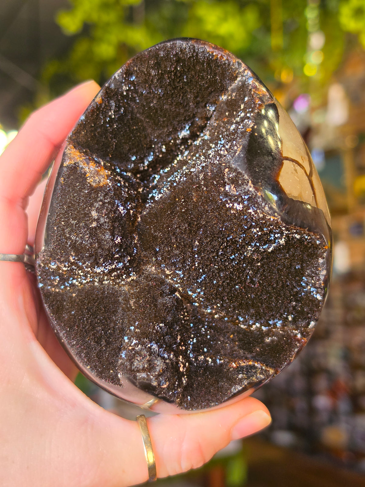 Septarian Nodule Egg