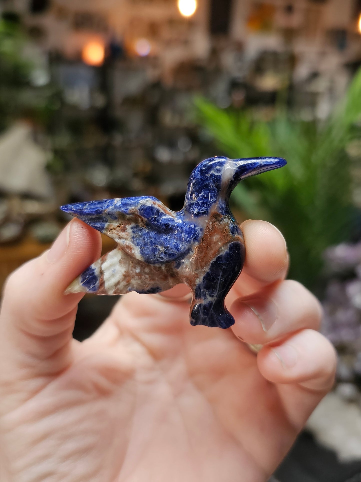 Sodalite Hummingbird Carving