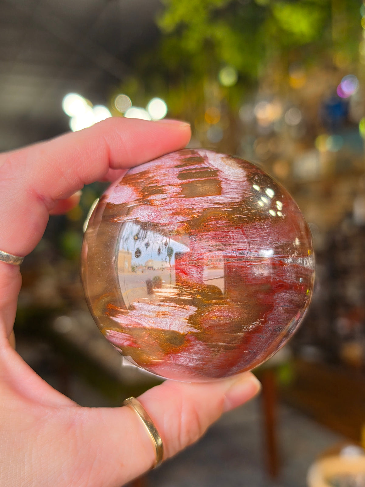 Petrified Wood Sphere