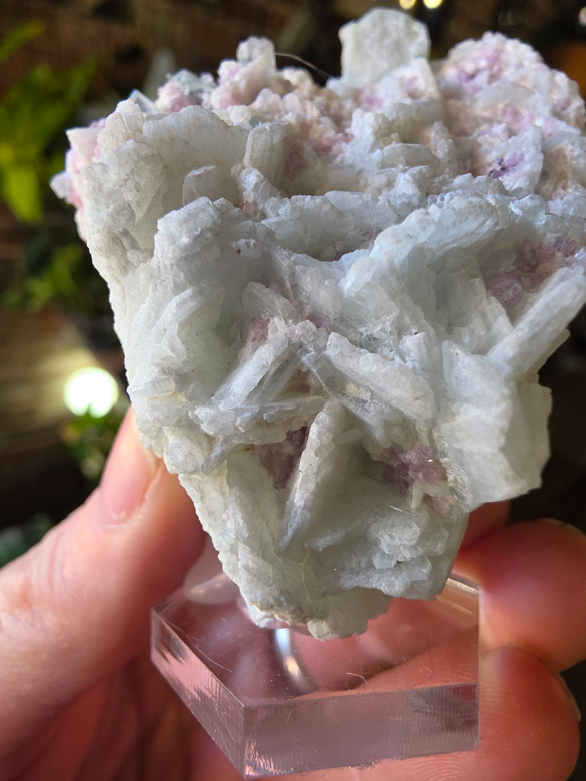 Blue Tourmaline and Lepidolite on Cleavlandite