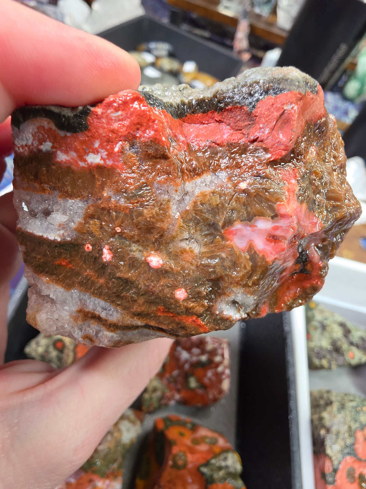 Orbicular Jasper Rough