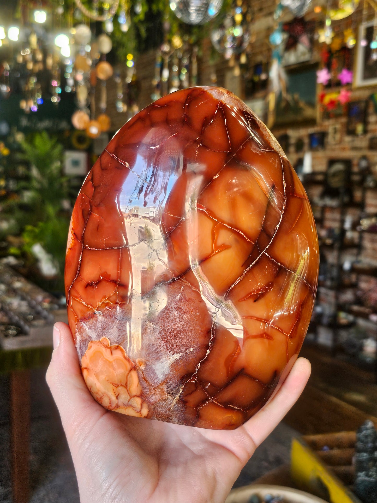 Carnelian Agate Freeform
