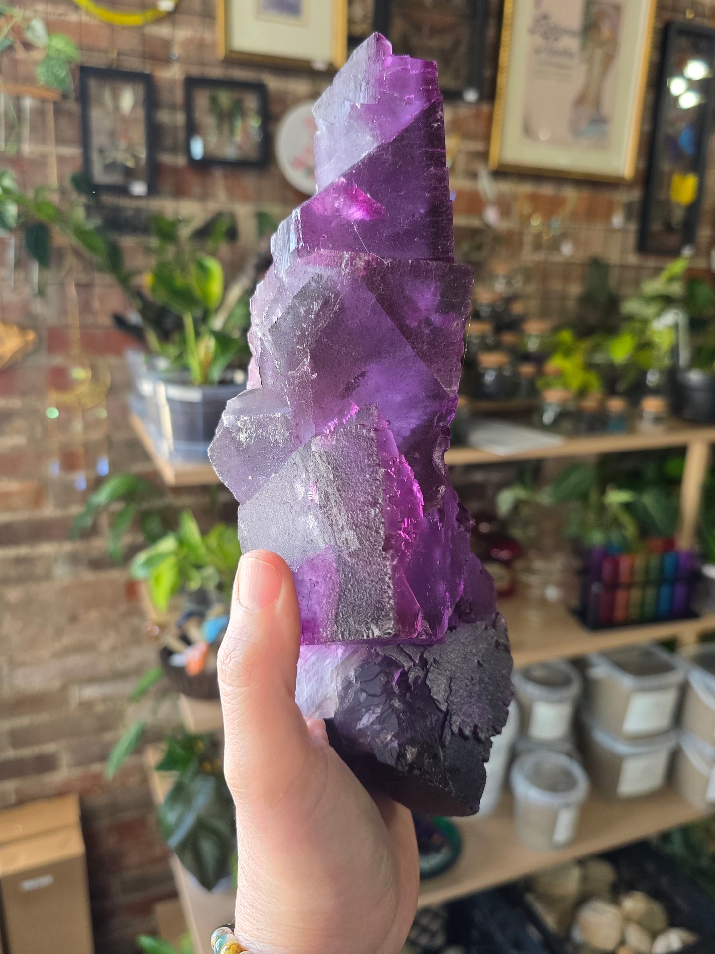 Illinois Fluorite