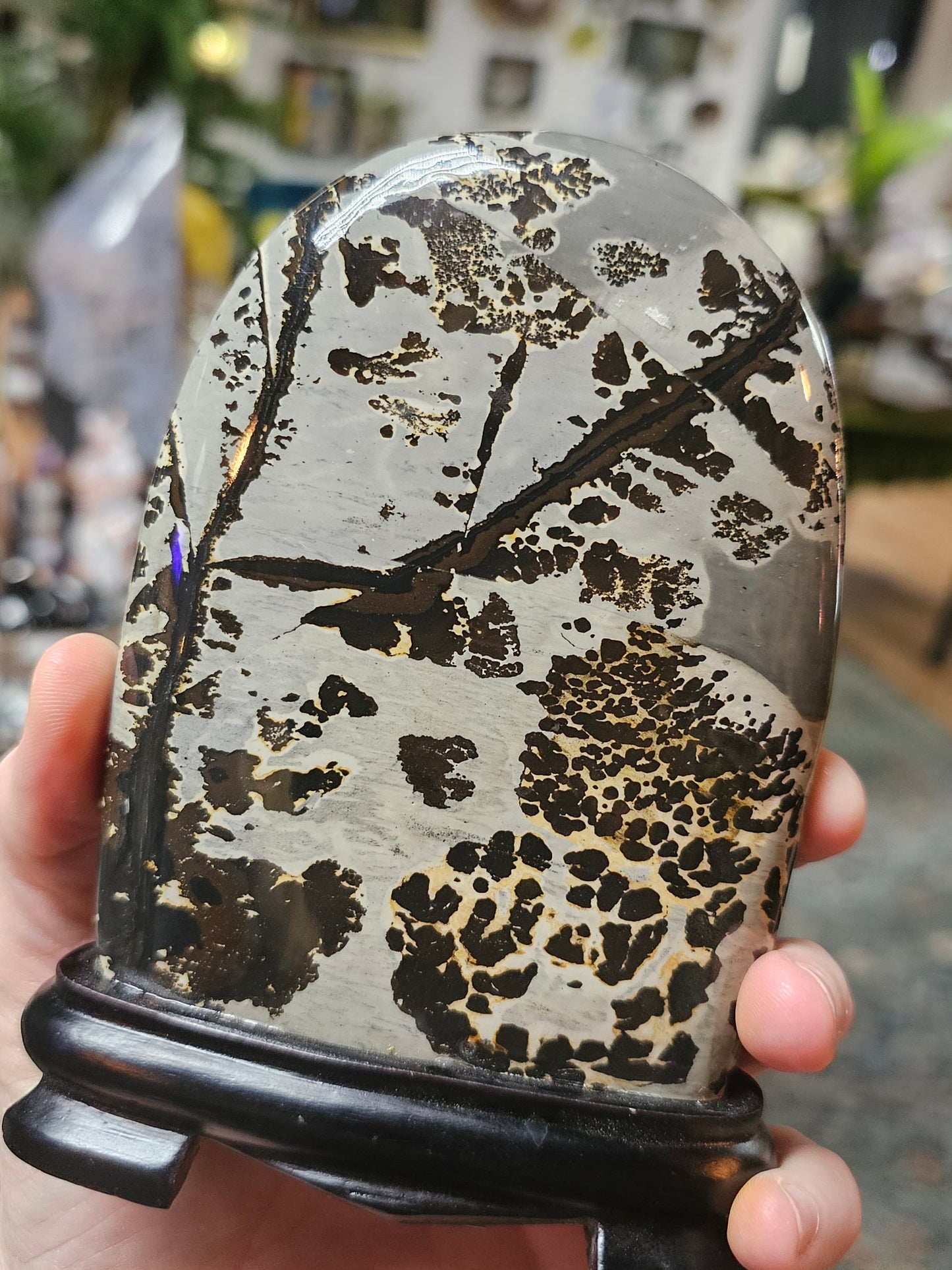 Dendritic Jasper Freeform on Wooden Base