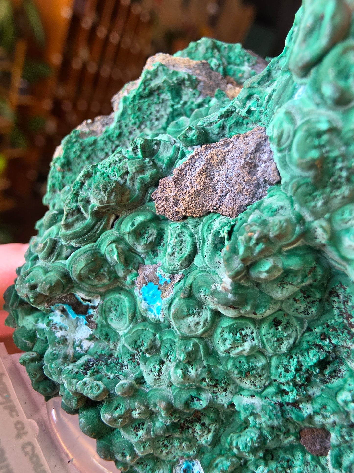 Chrysocolla and Malachite