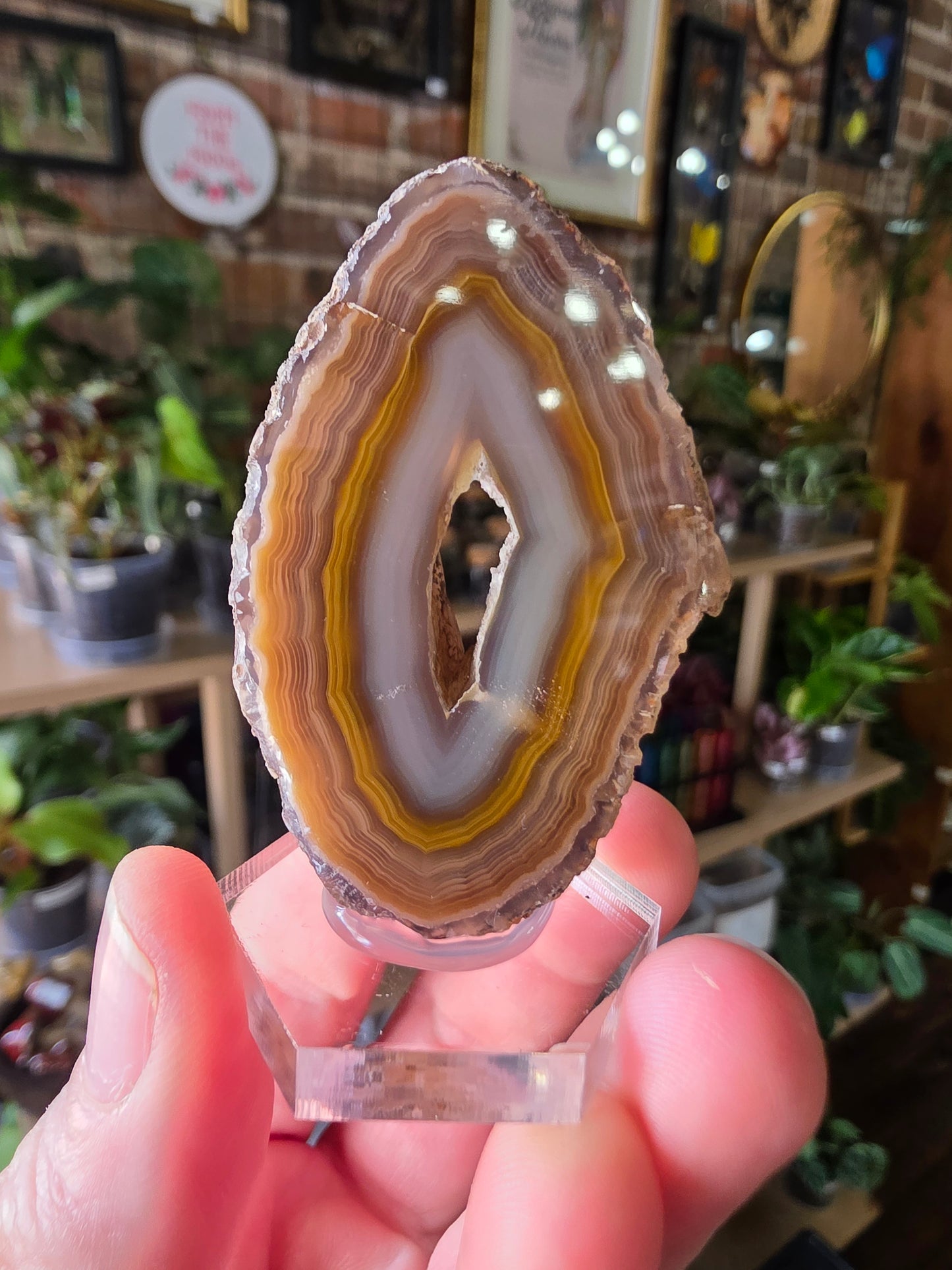 Coyamito Agate Slab