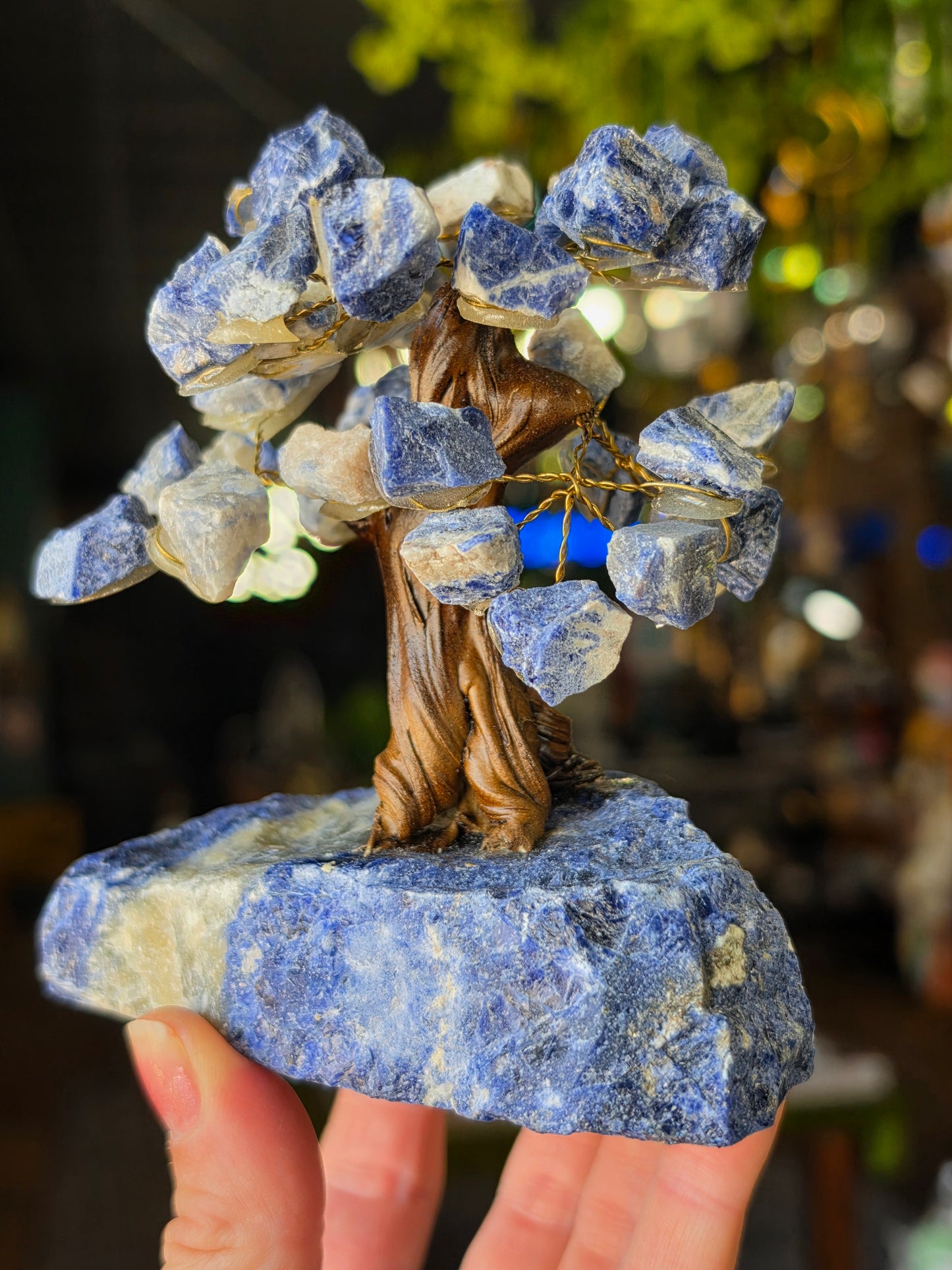 Sodalite Tree