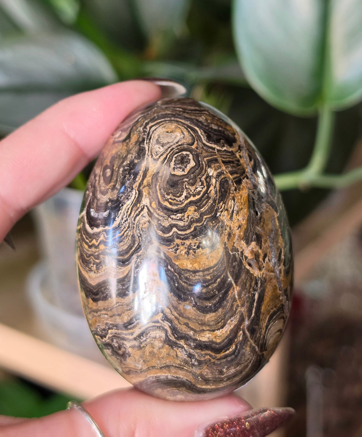 Stromatolite Egg