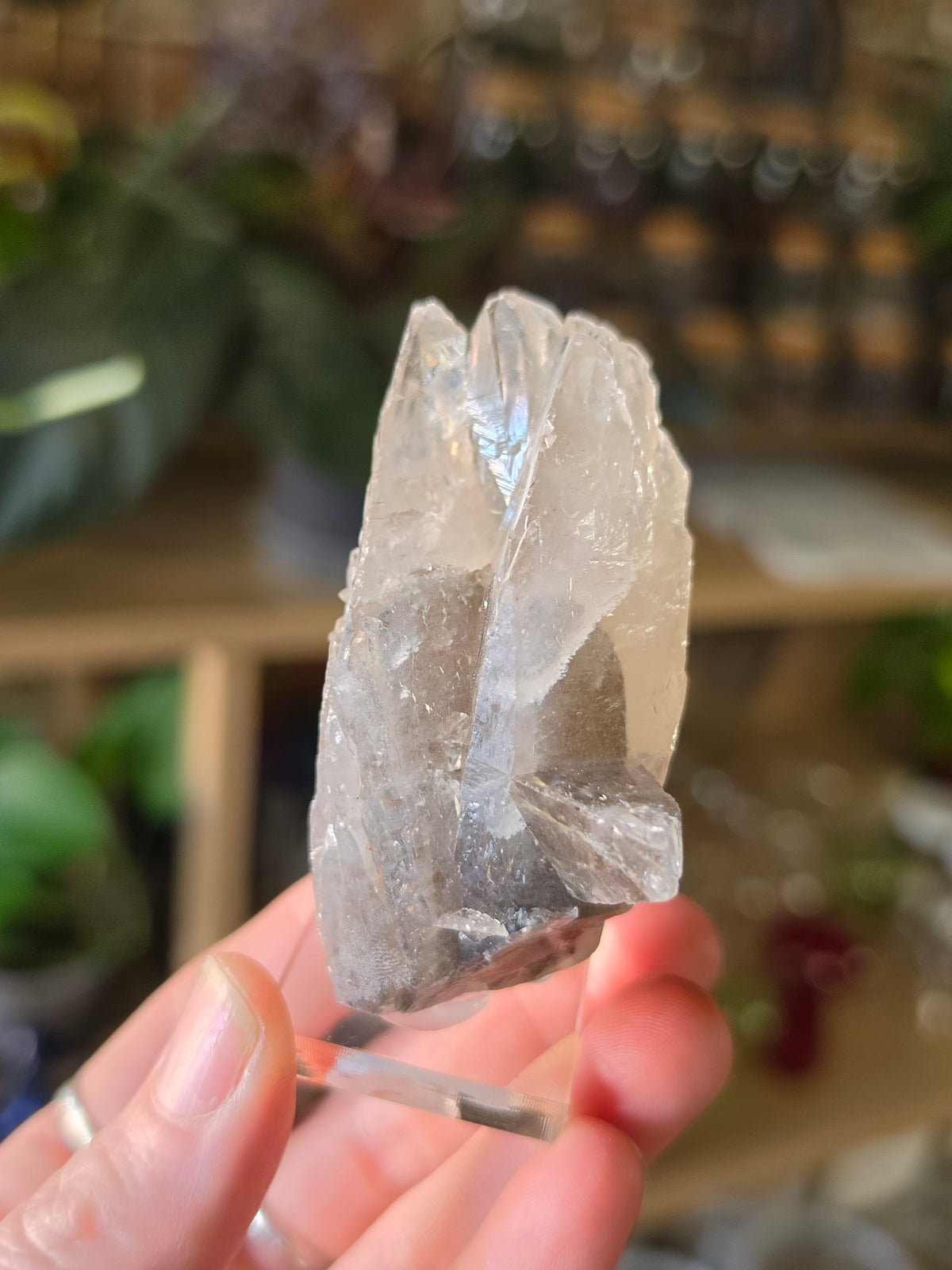 Phantom Calcite