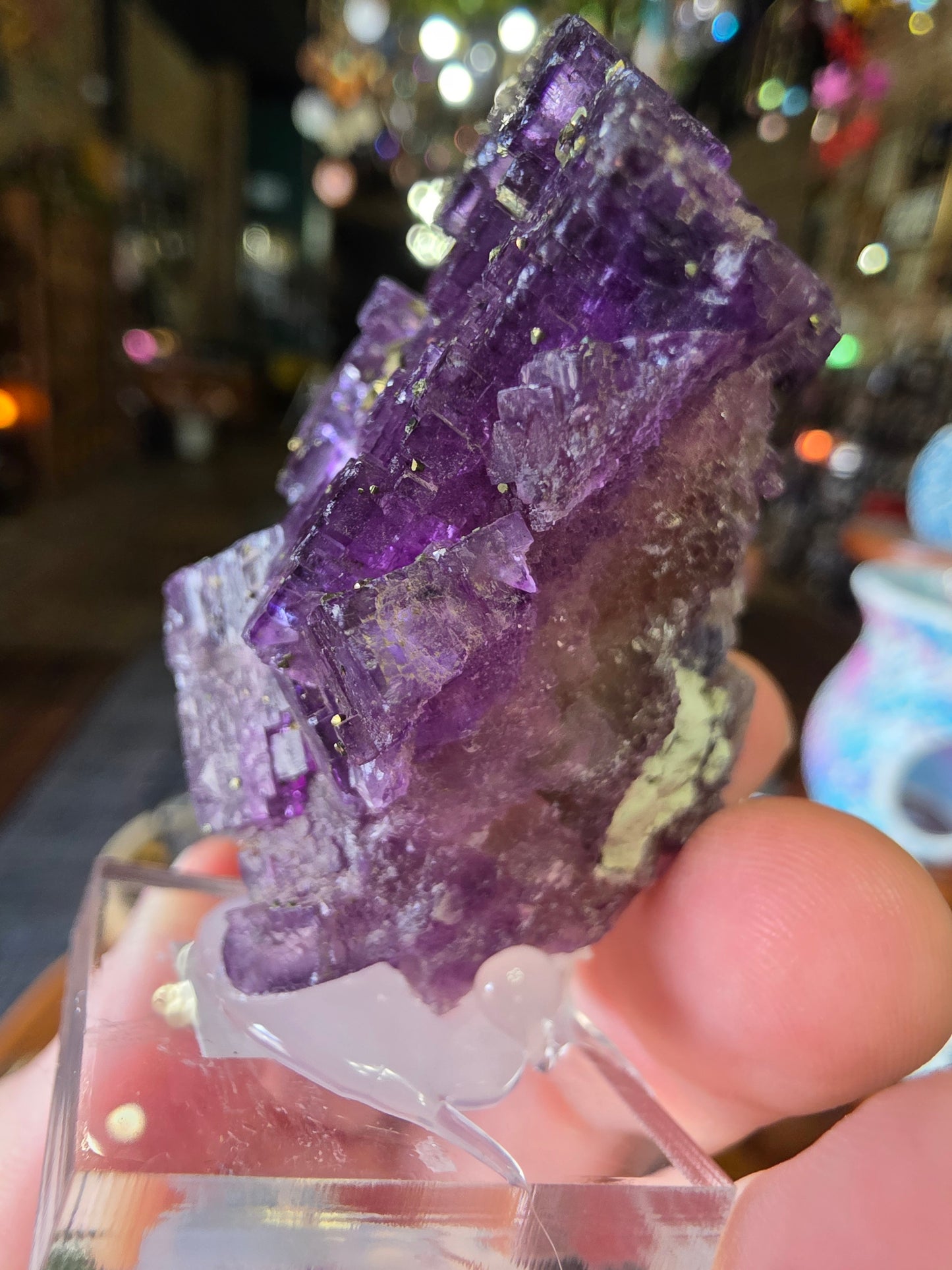 Pyrite on Fluorite