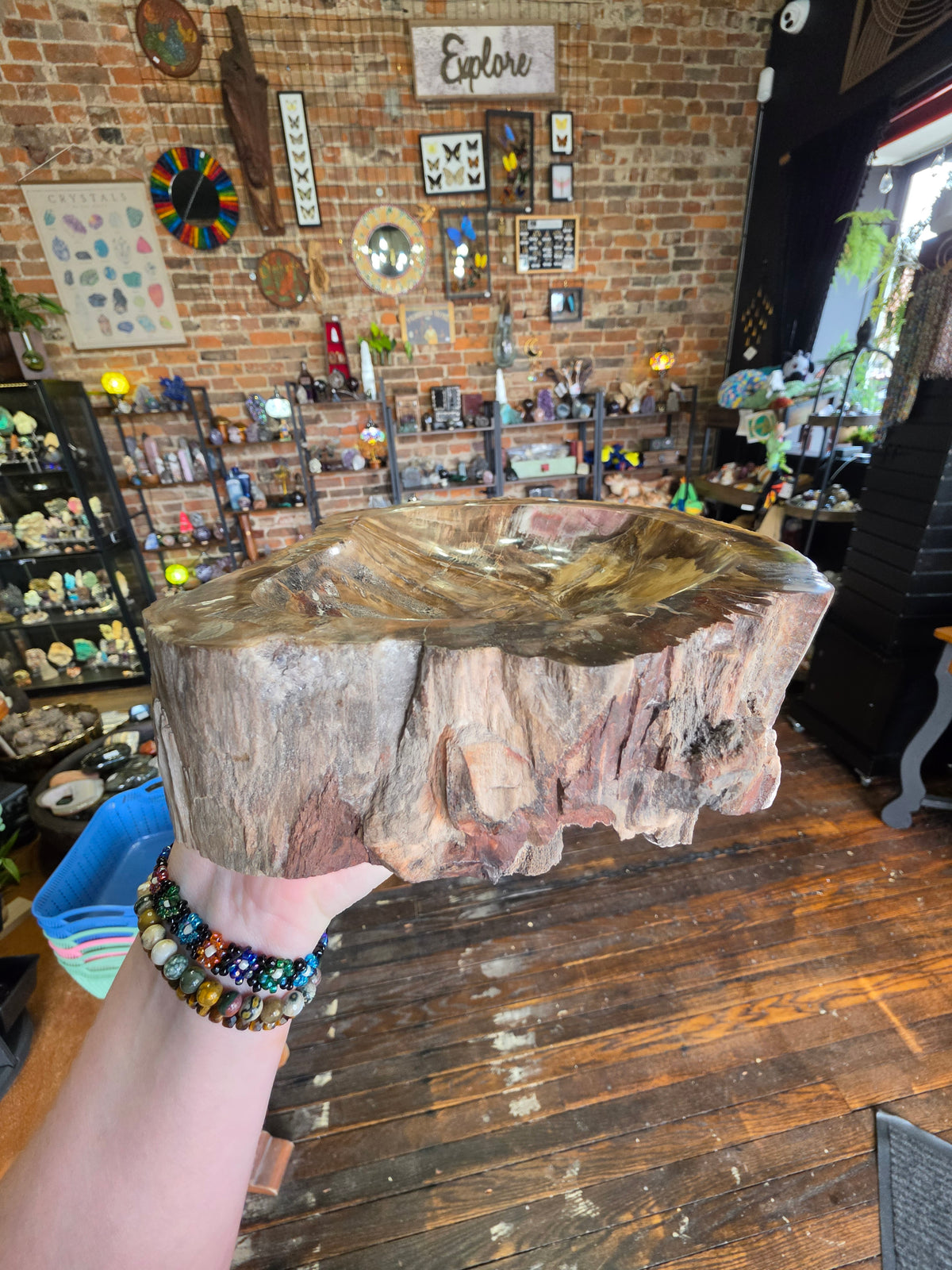 Petrified Wood Bowl