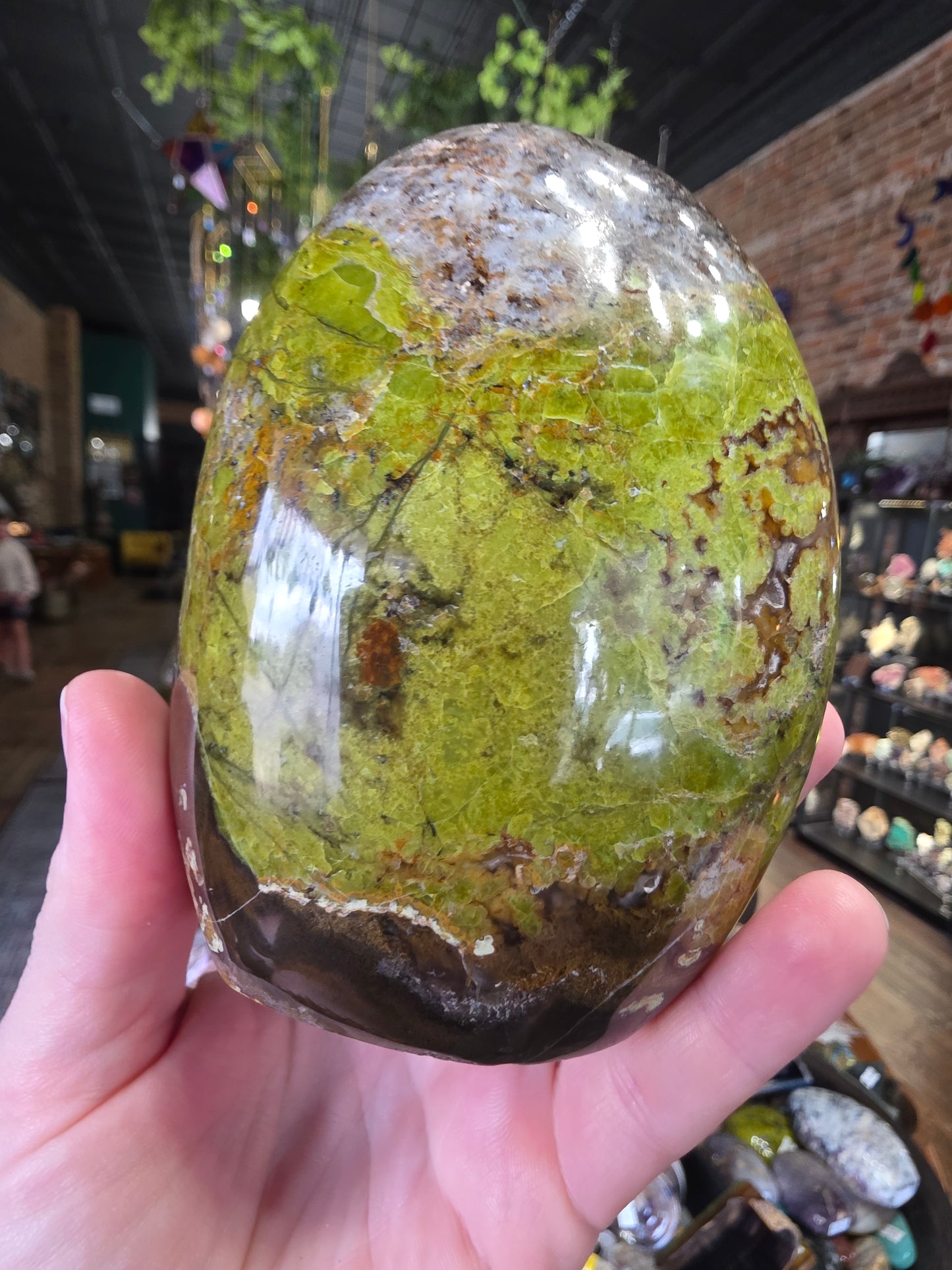 Green Common Opal Freeform