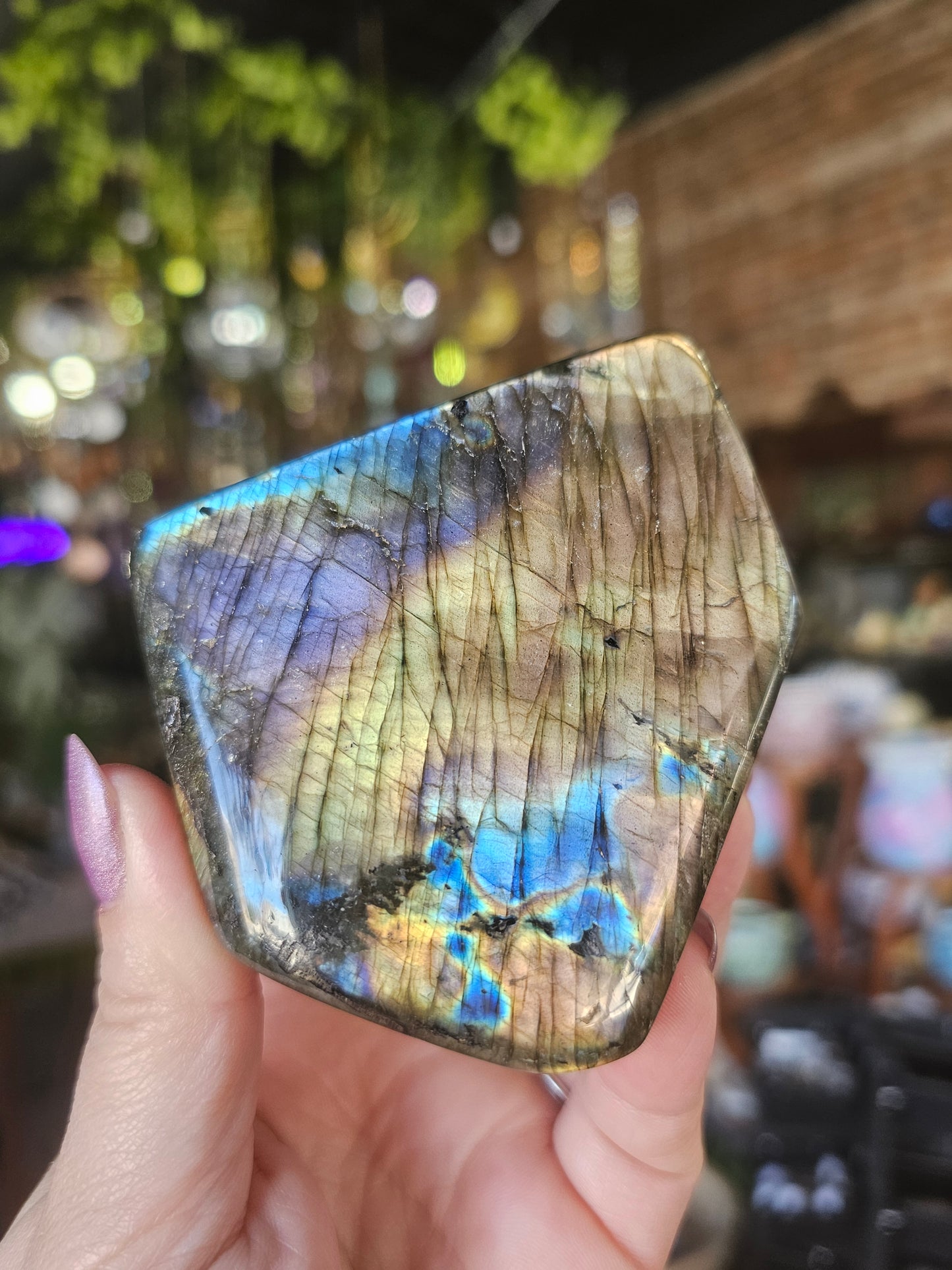 Labradorite Free form