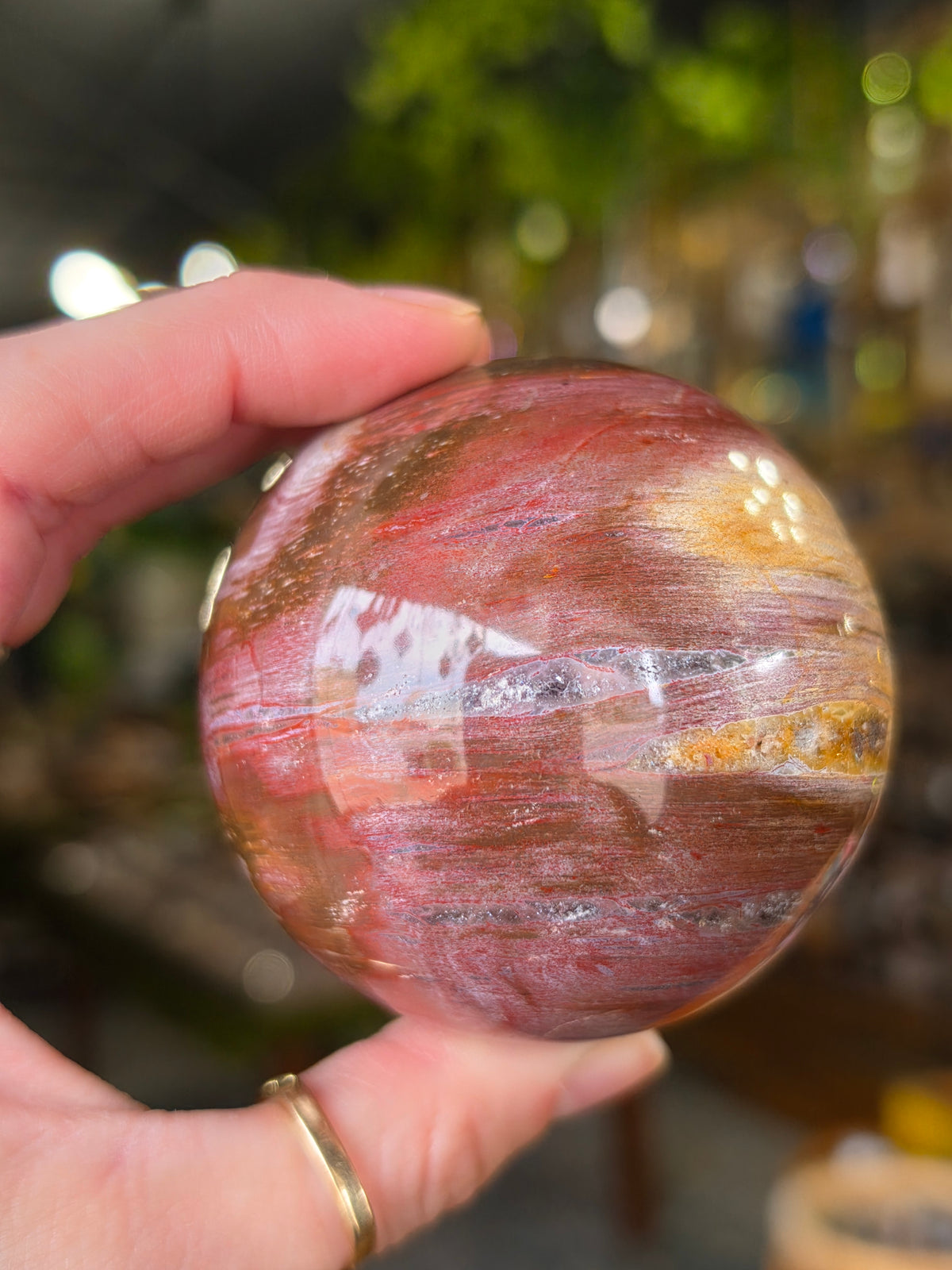 Petrified Wood Sphere