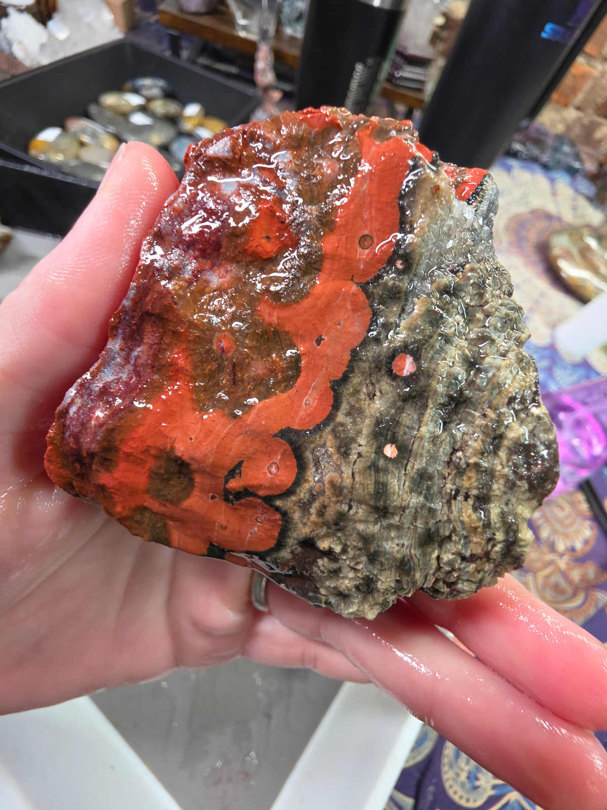 Orbicular Jasper Rough