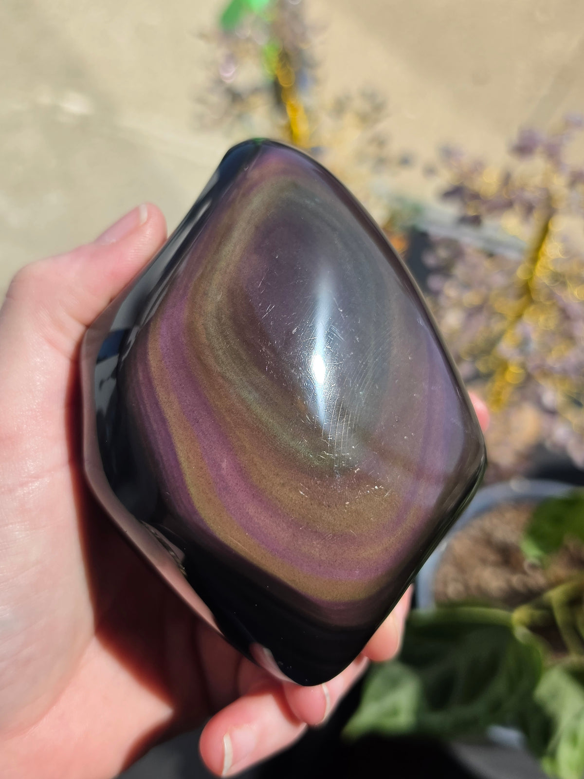 Rainbow Obsidian Freeform
