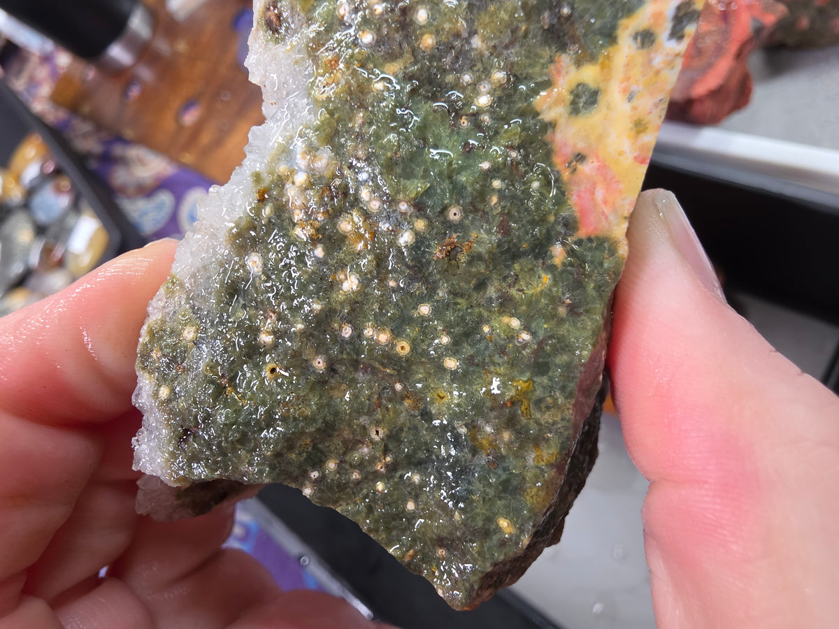 Orbicular Jasper Rough