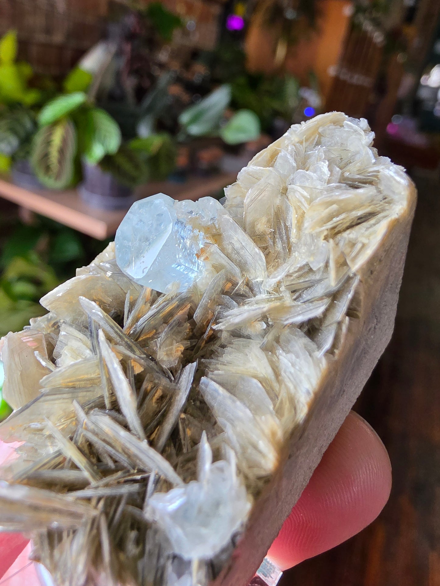 Aquamarine on Muscovite