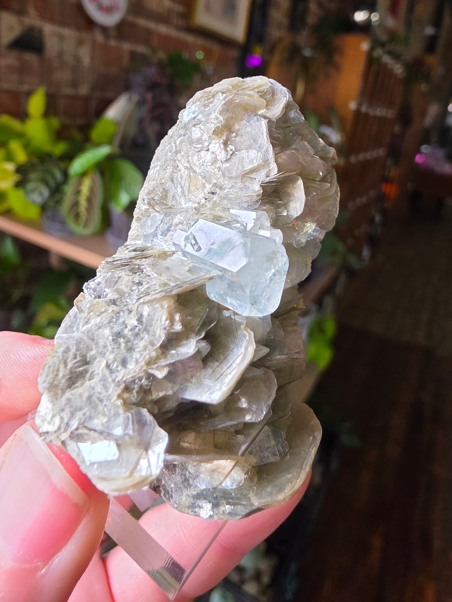Aquamarine on Muscovite