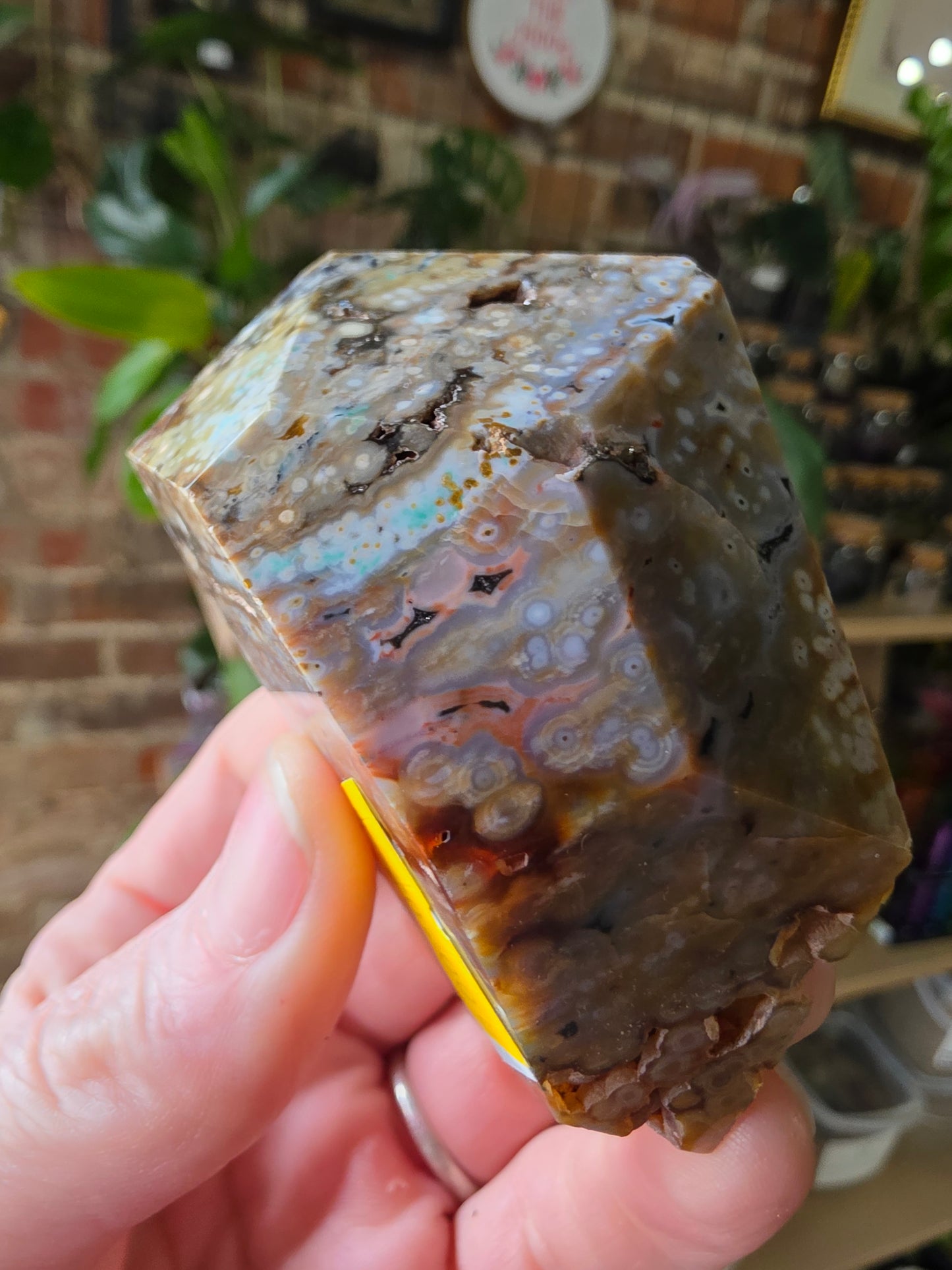 Ocean Jasper Freeform
