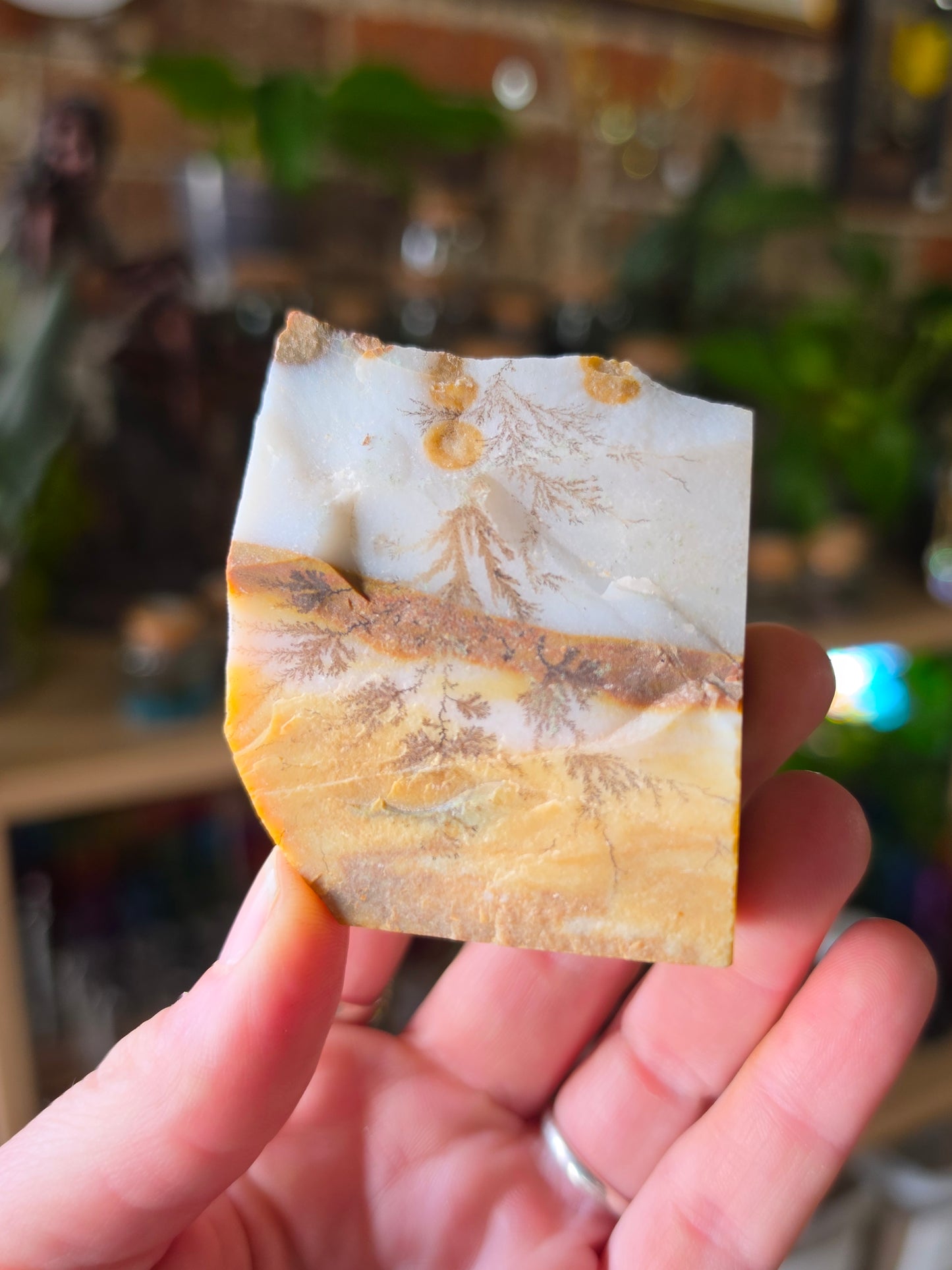 Dendritic Polkadot Agate