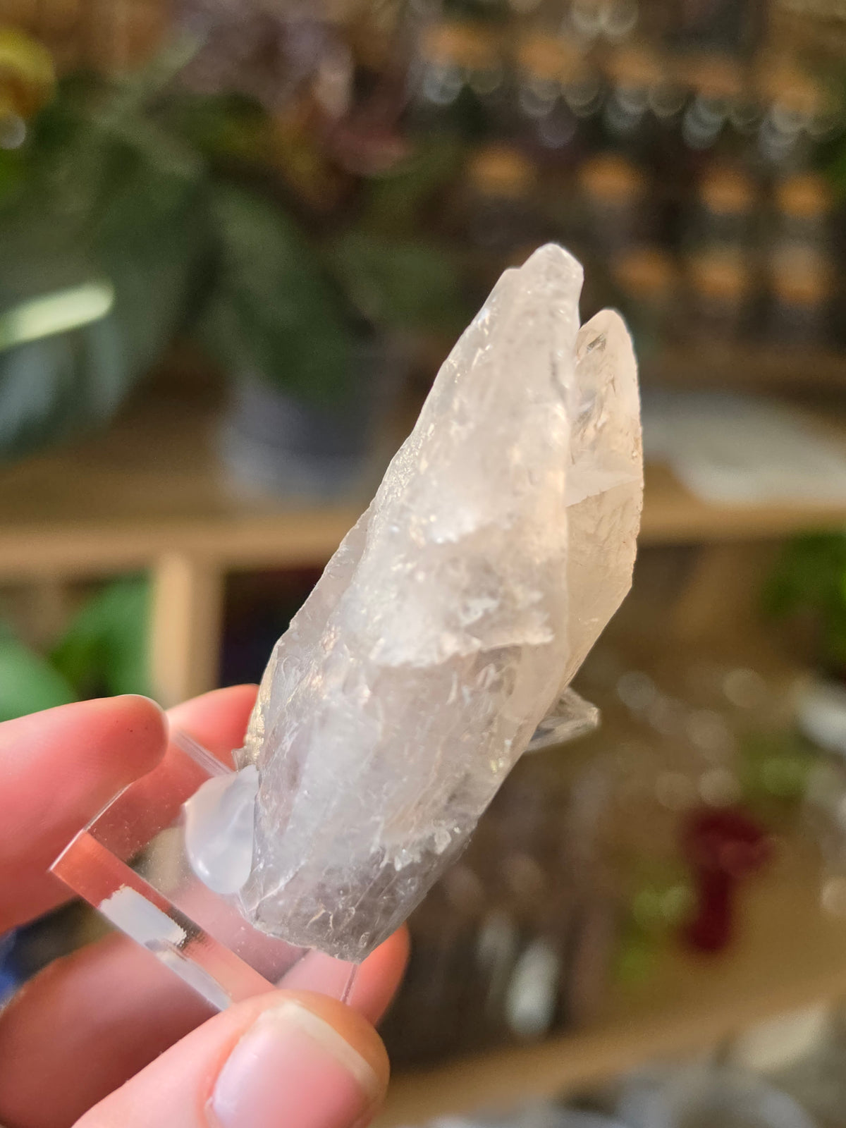 Phantom Calcite