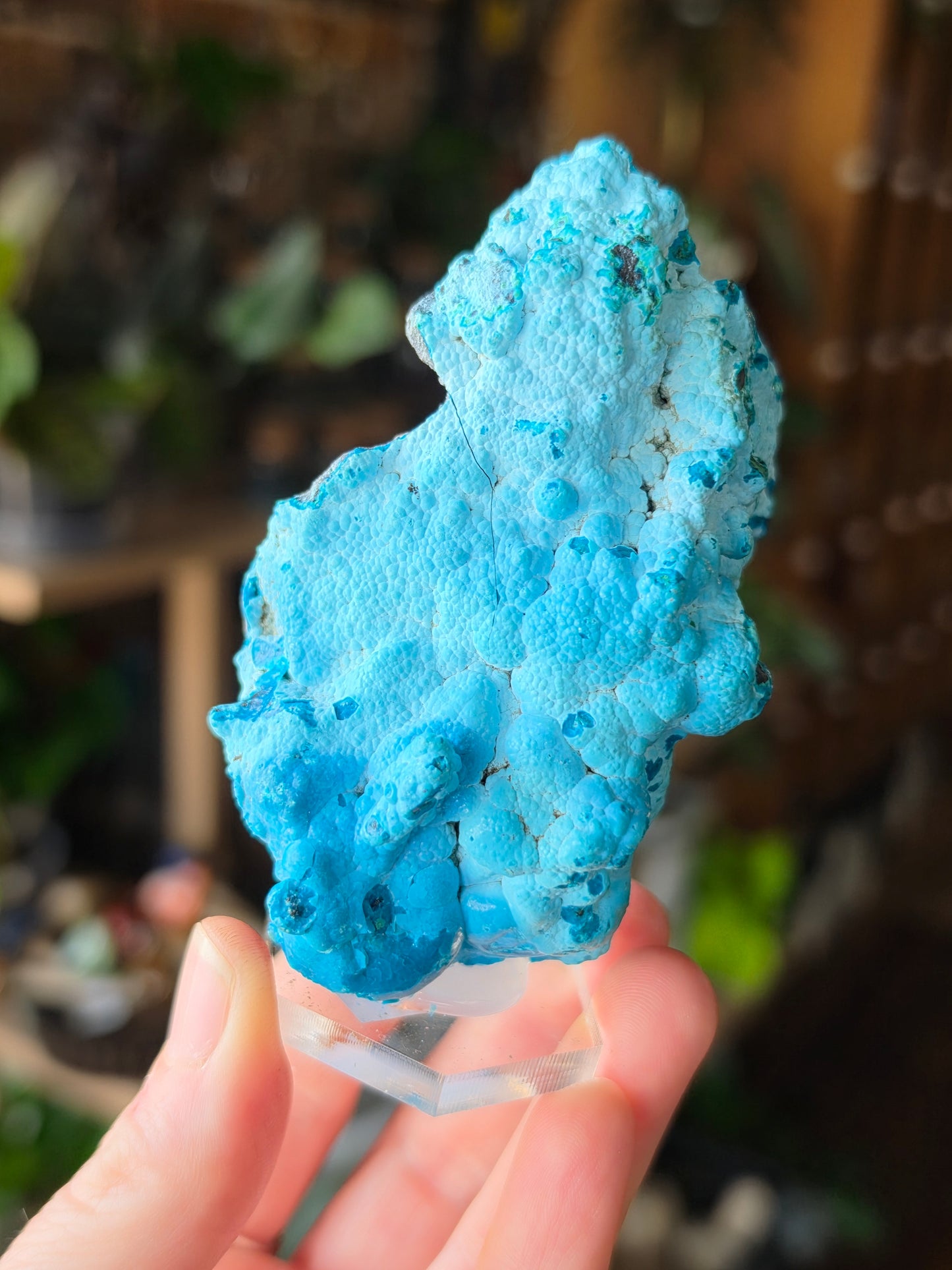 Chrysocolla and Malachite