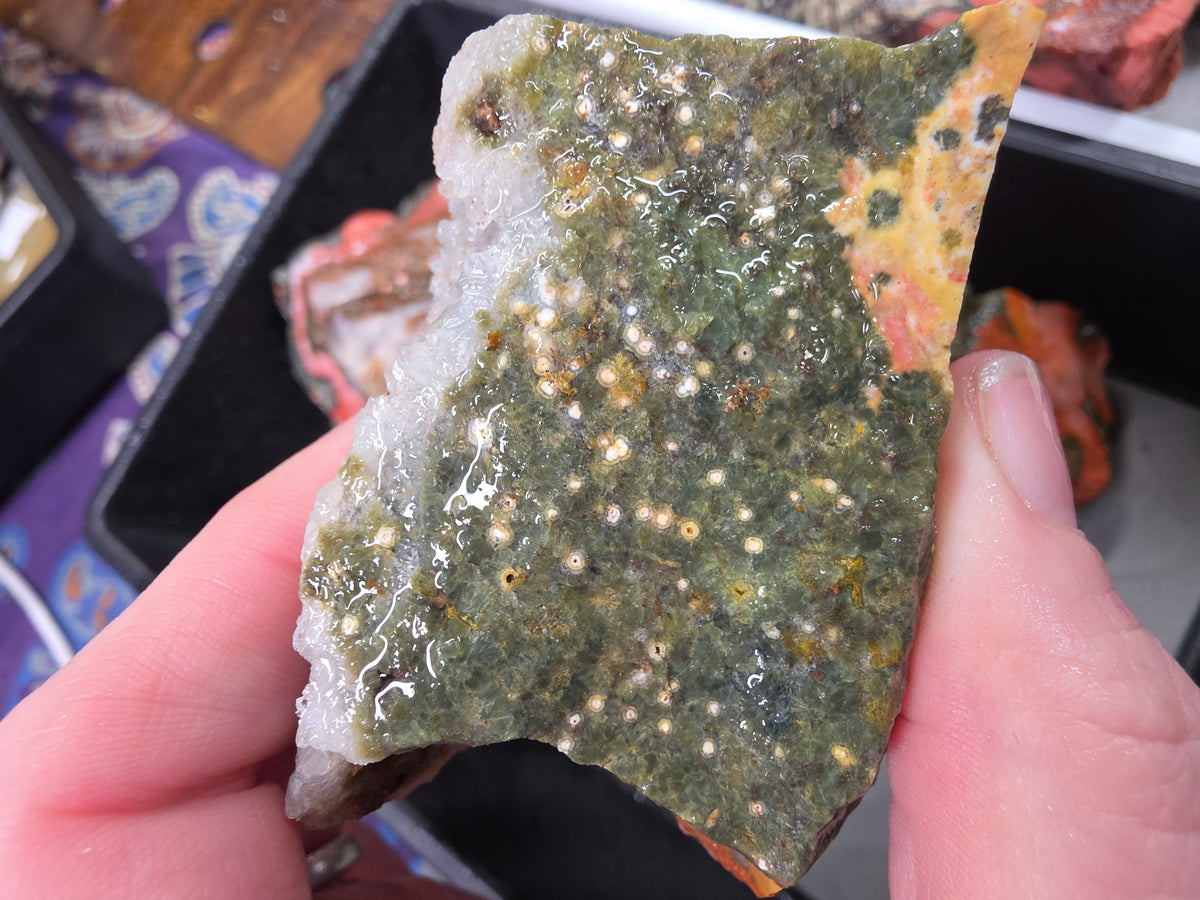 Orbicular Jasper Rough