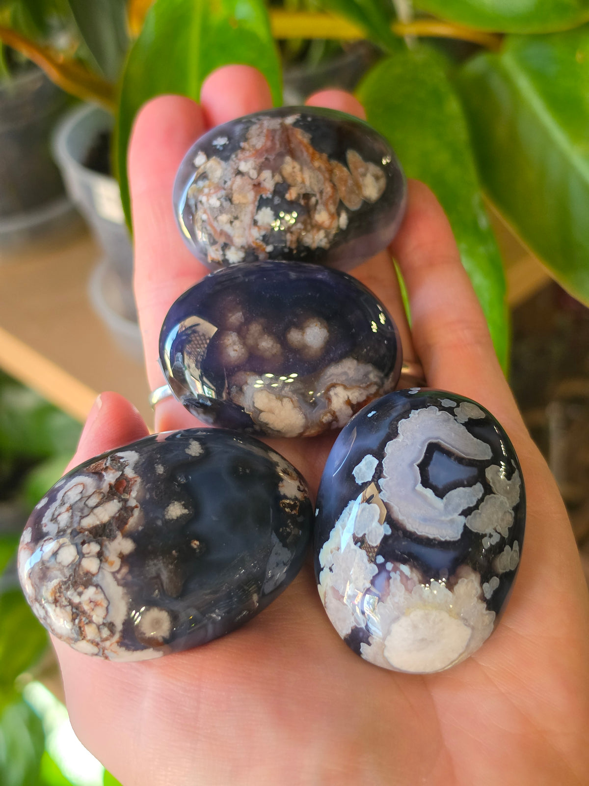 Blue Flower Agate Palmstone