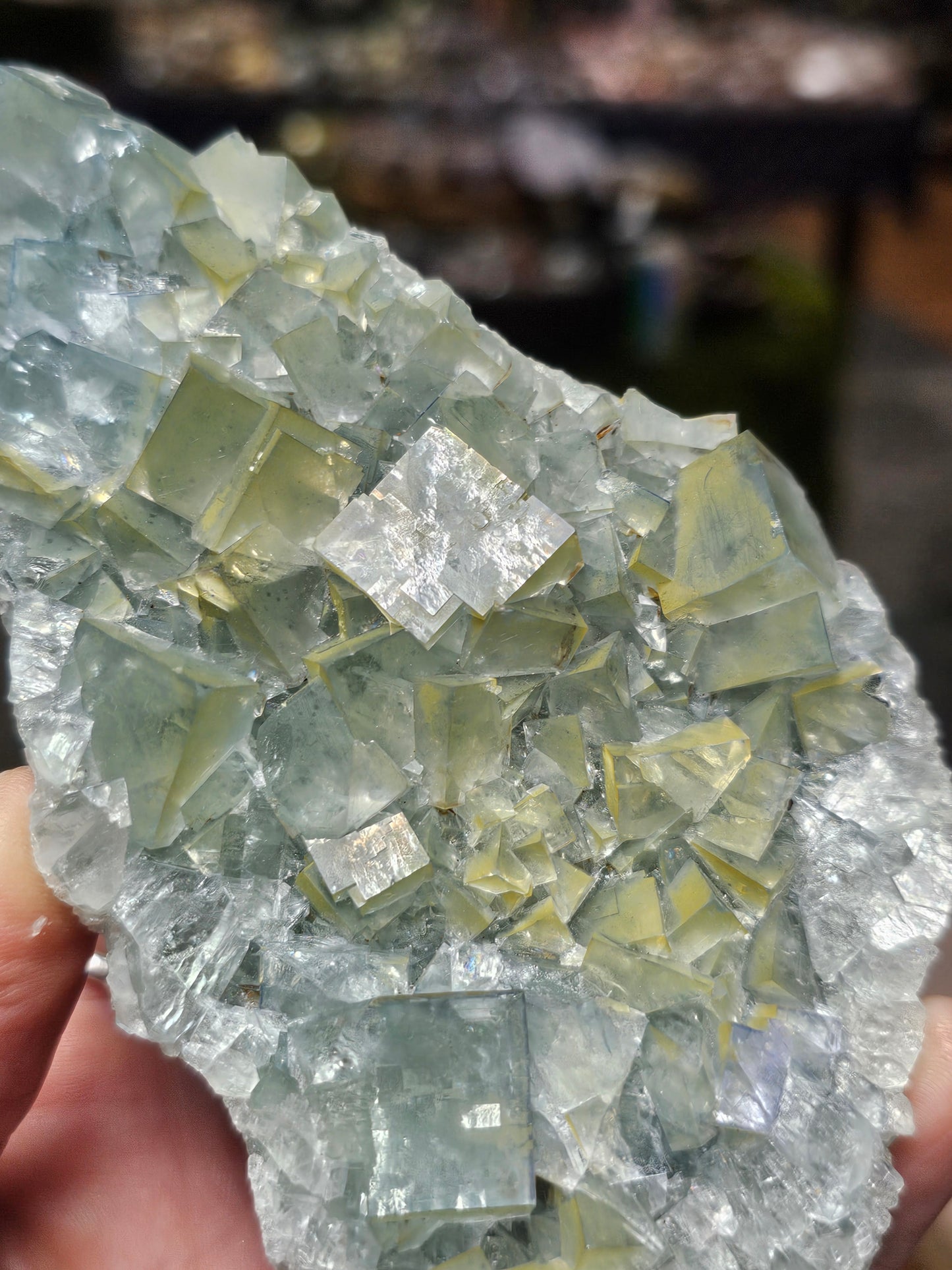 Cubic Fluorite