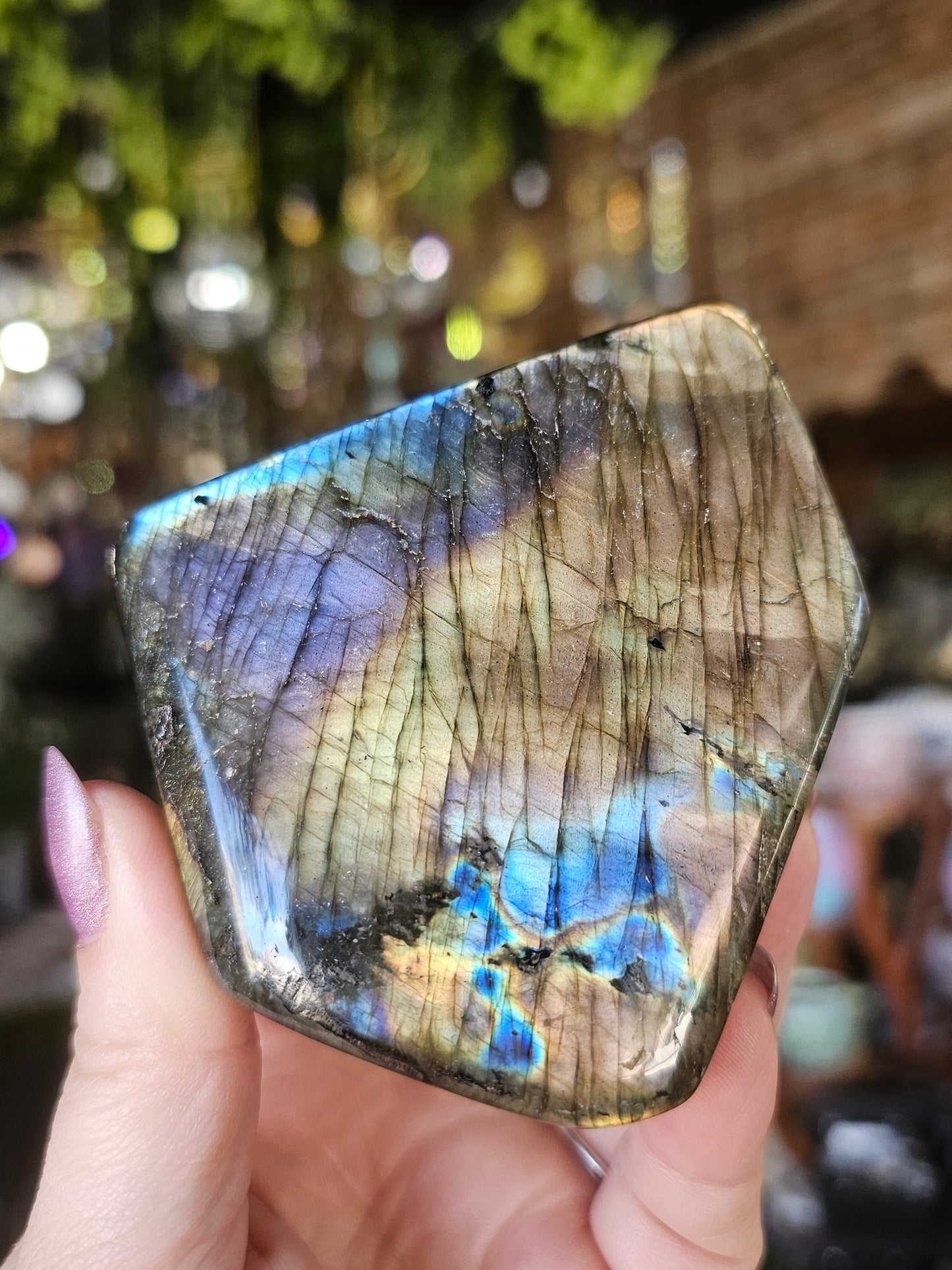 Labradorite Free form