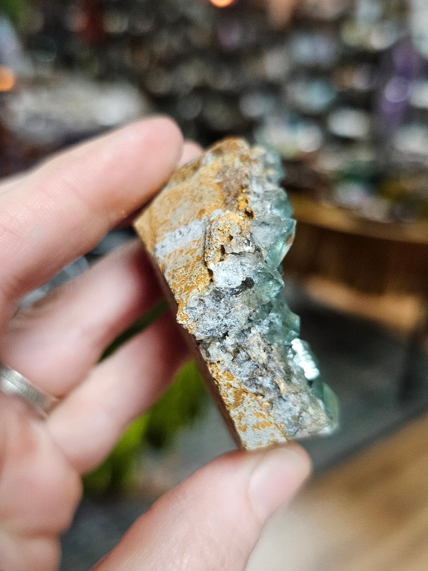 Diana Maria Fluorite
