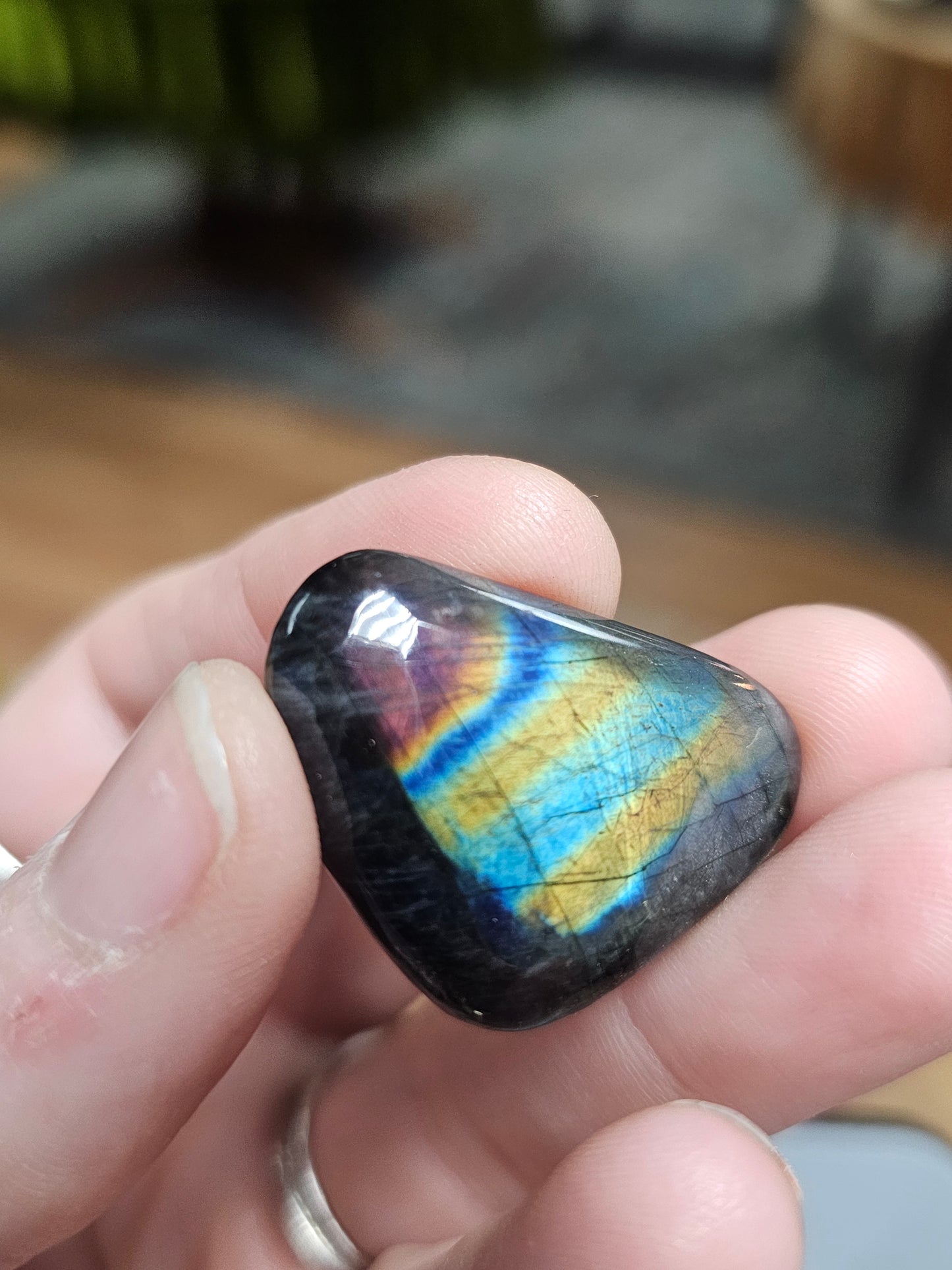 Finnish Spectrolite