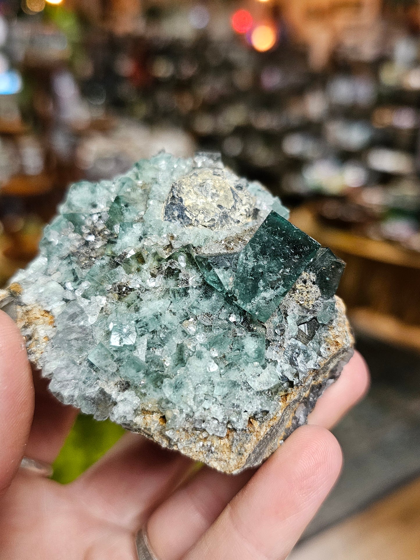 Diana Maria Fluorite