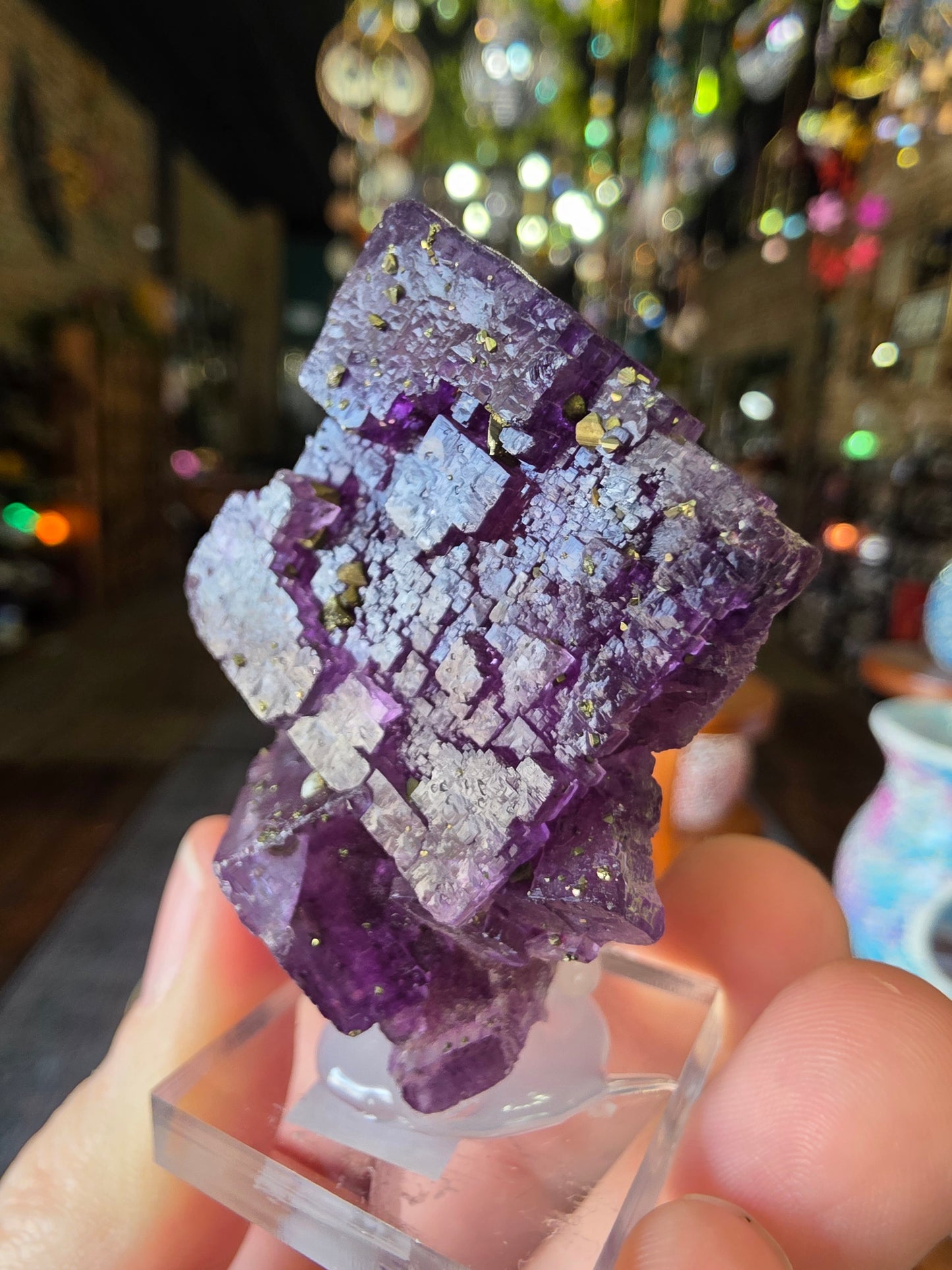 Pyrite on Fluorite