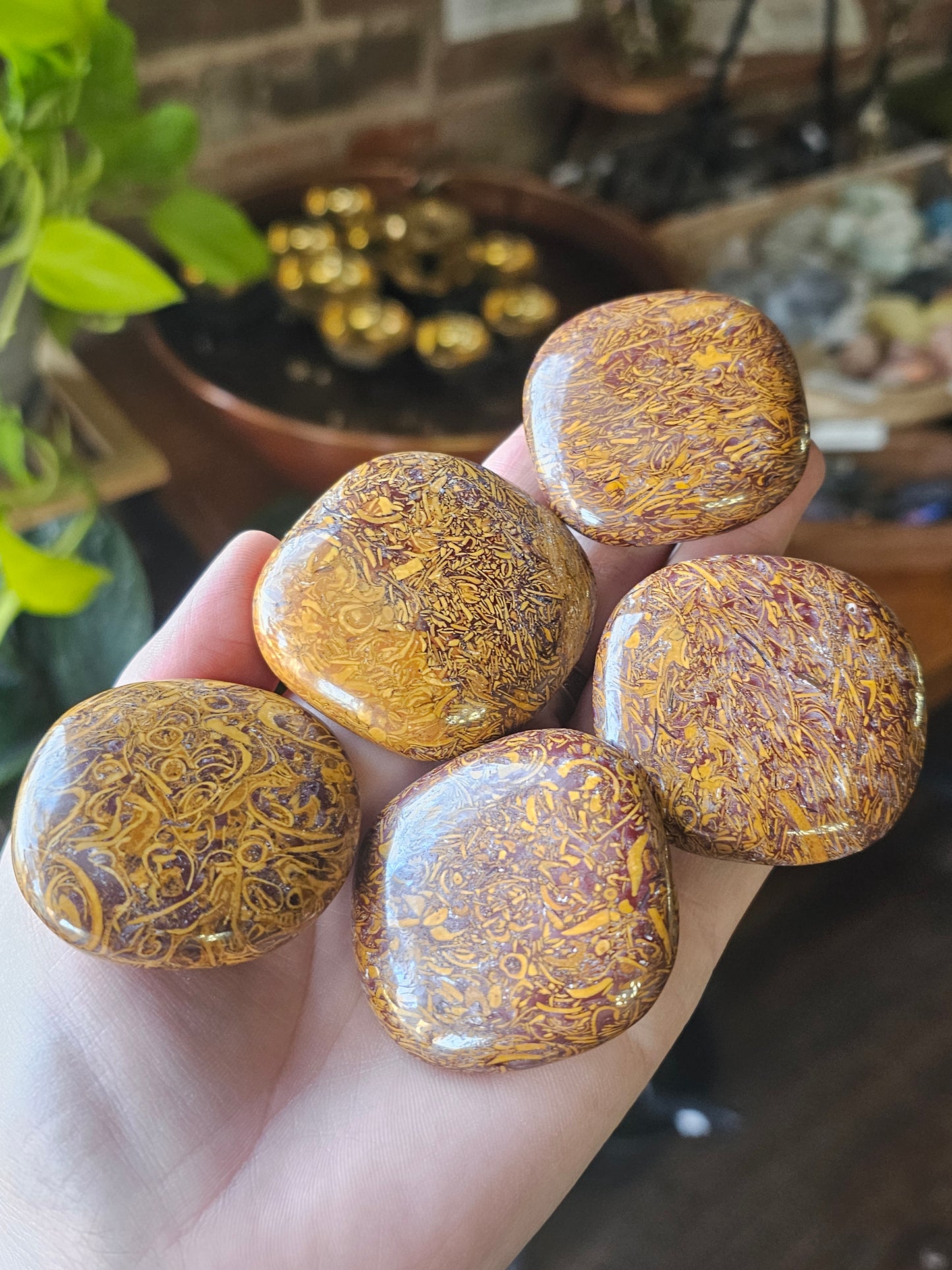Calligraphy Jasper Palm Stone