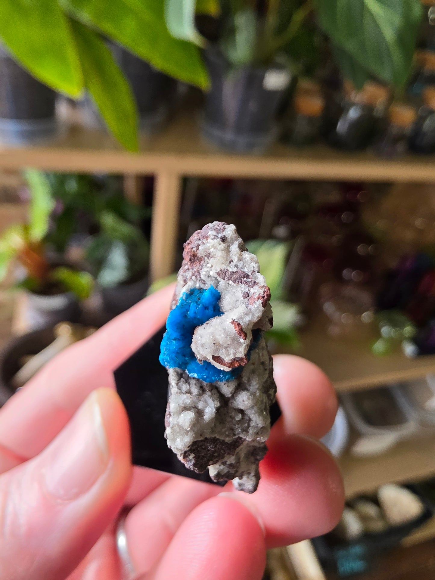 Cavansite On Matrix
