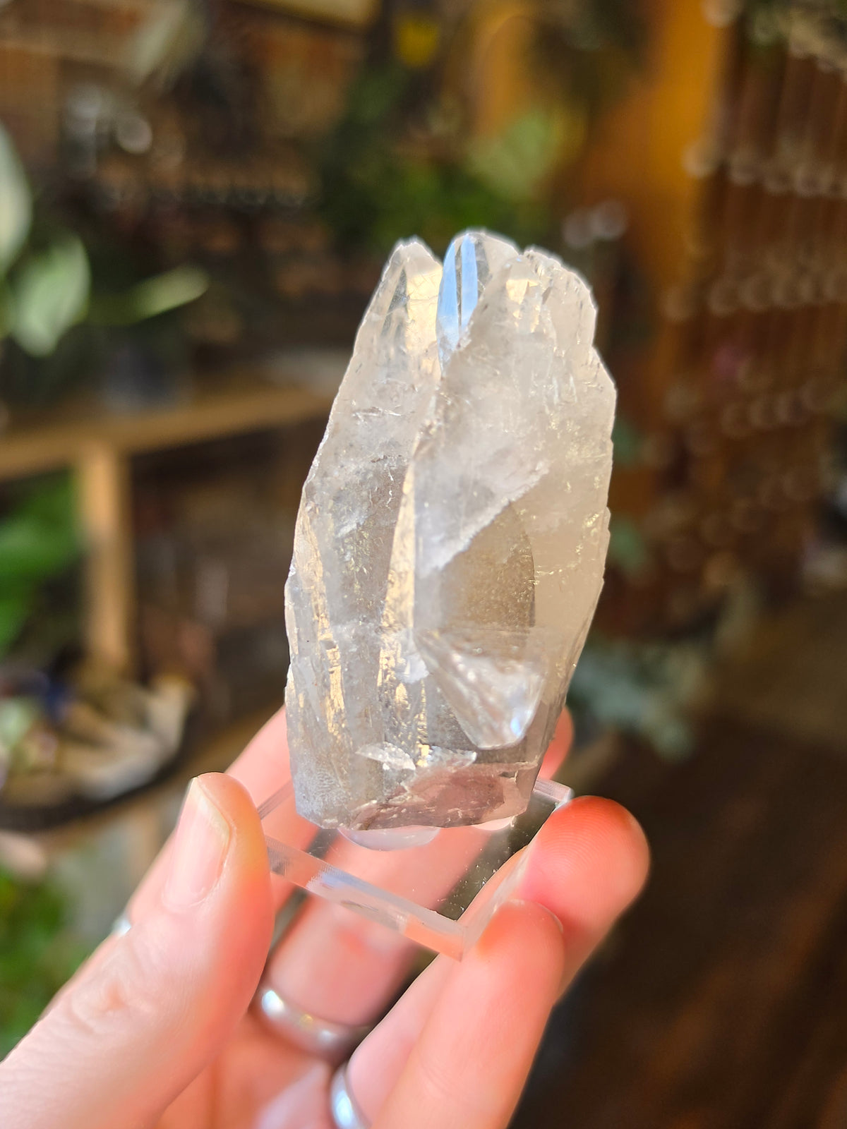 Phantom Calcite