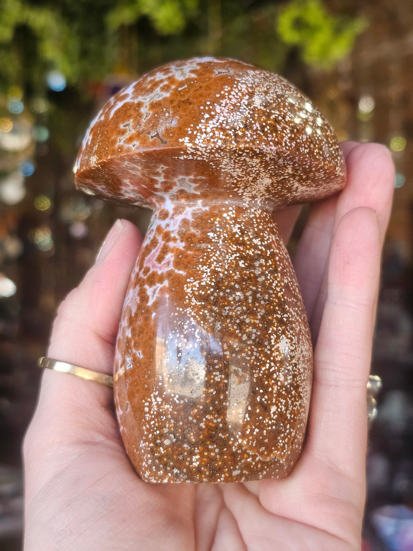 Orbicular Jasper Mushroom