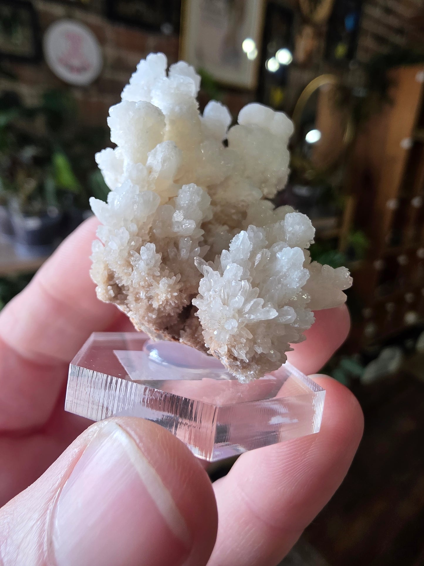 Cave Calcite Cluster
