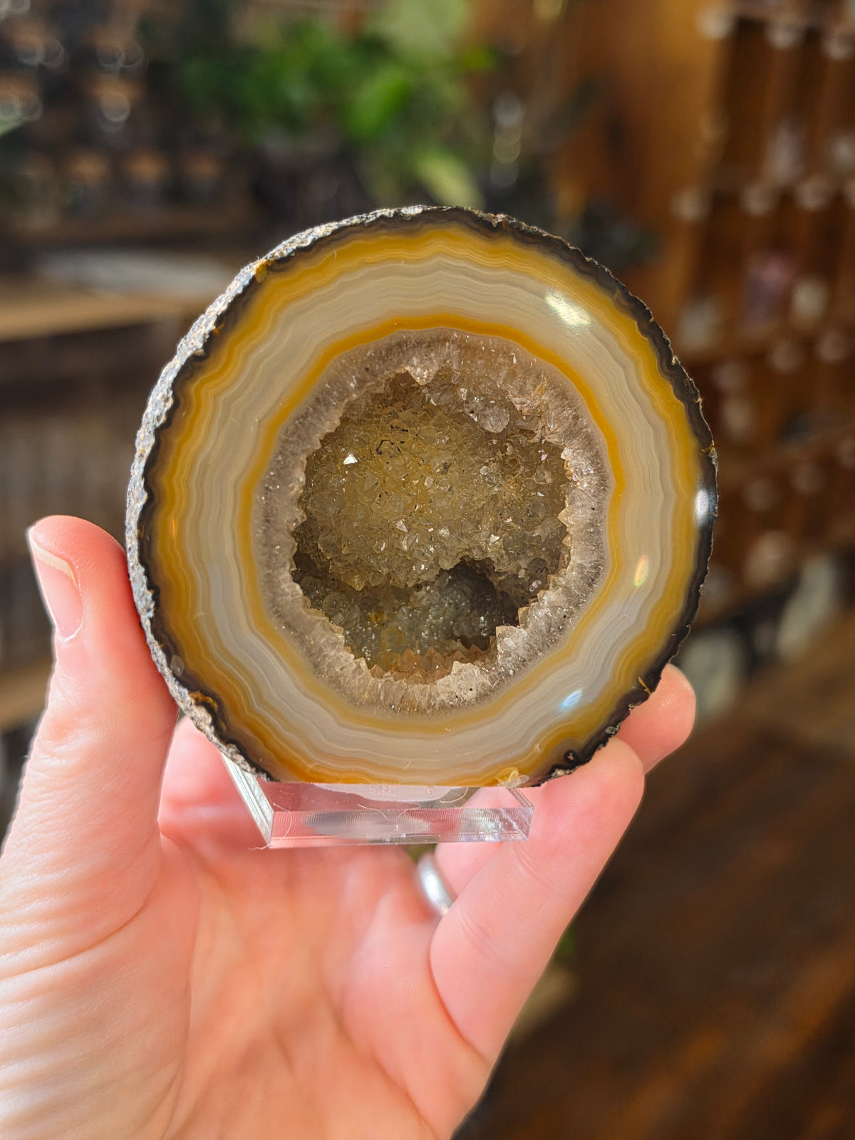 Brazilian Agate Halve